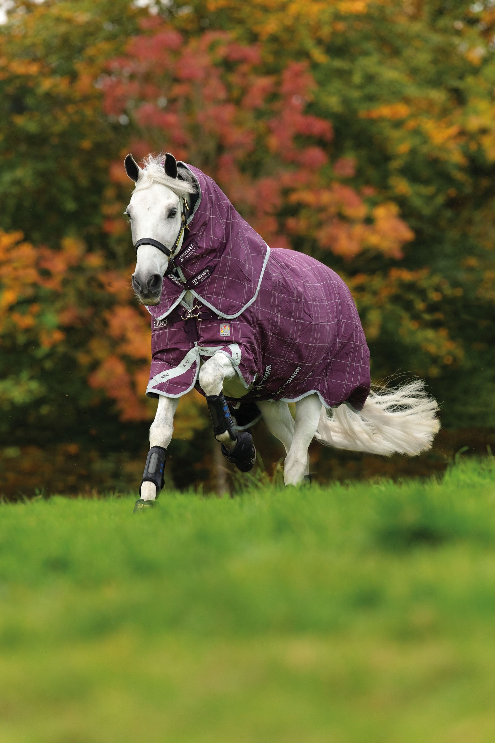 Horseware Rhino Plus Heavy Paardendeken VL, 450g Paardendekens