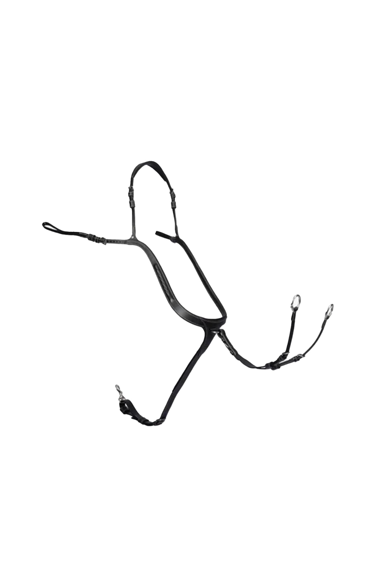 Alt Tag fallback text for IMAGE