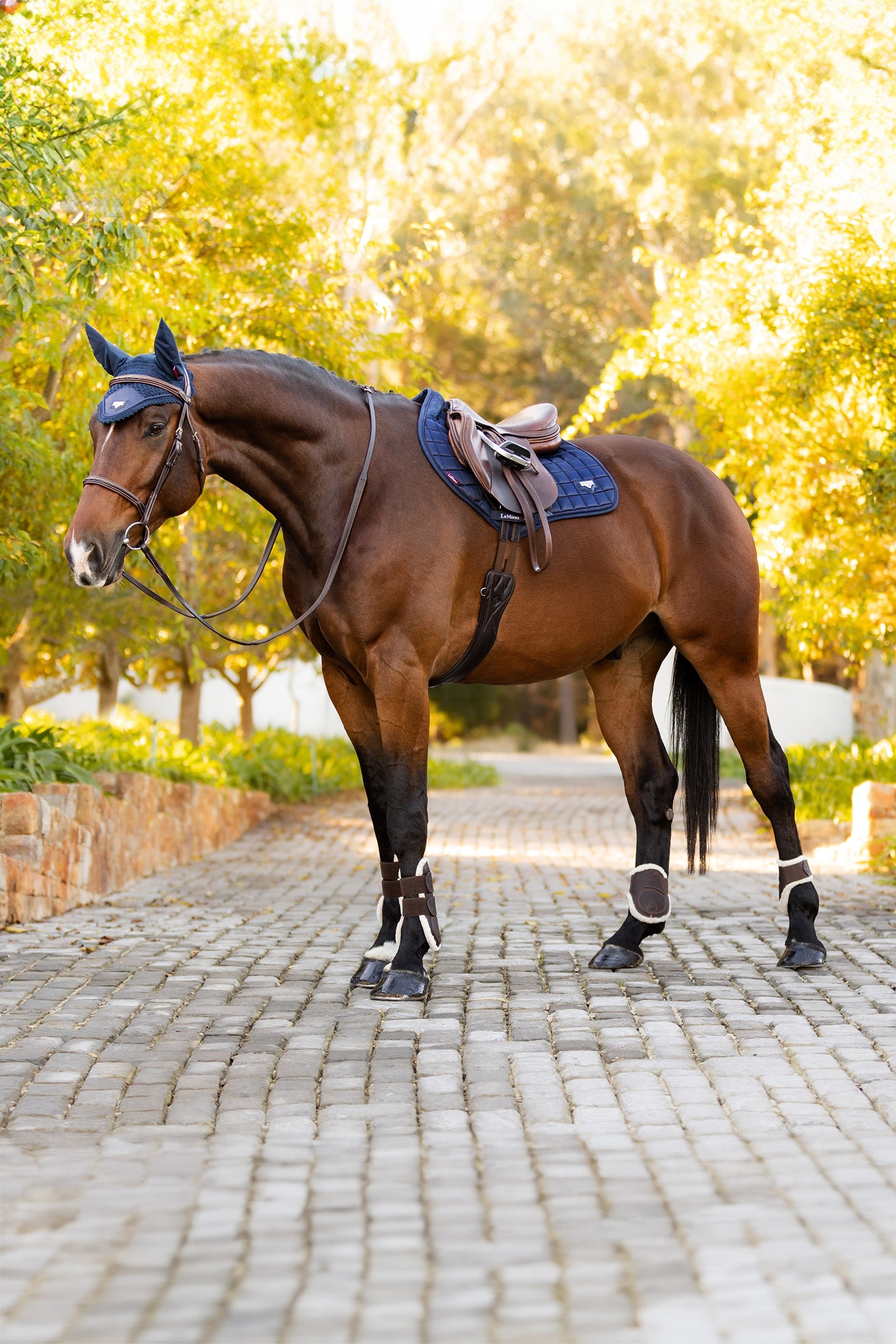 LeMieux Loire Memory CC Jumping Saddle Pad Saddle Pads