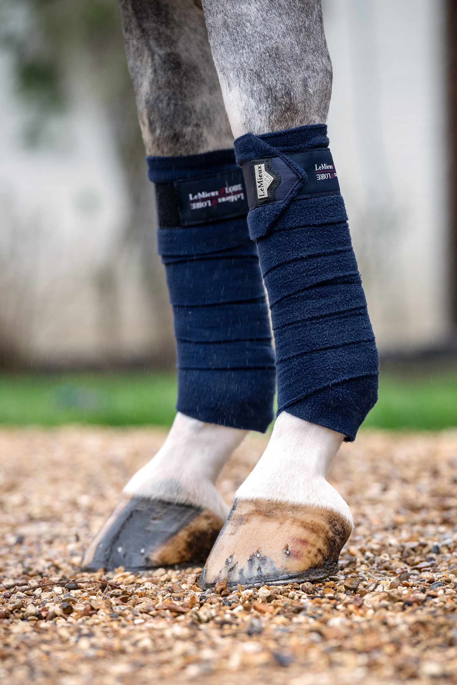 LeMieux Loire Polobandages Leg Protection & Hoof Protection for Horses