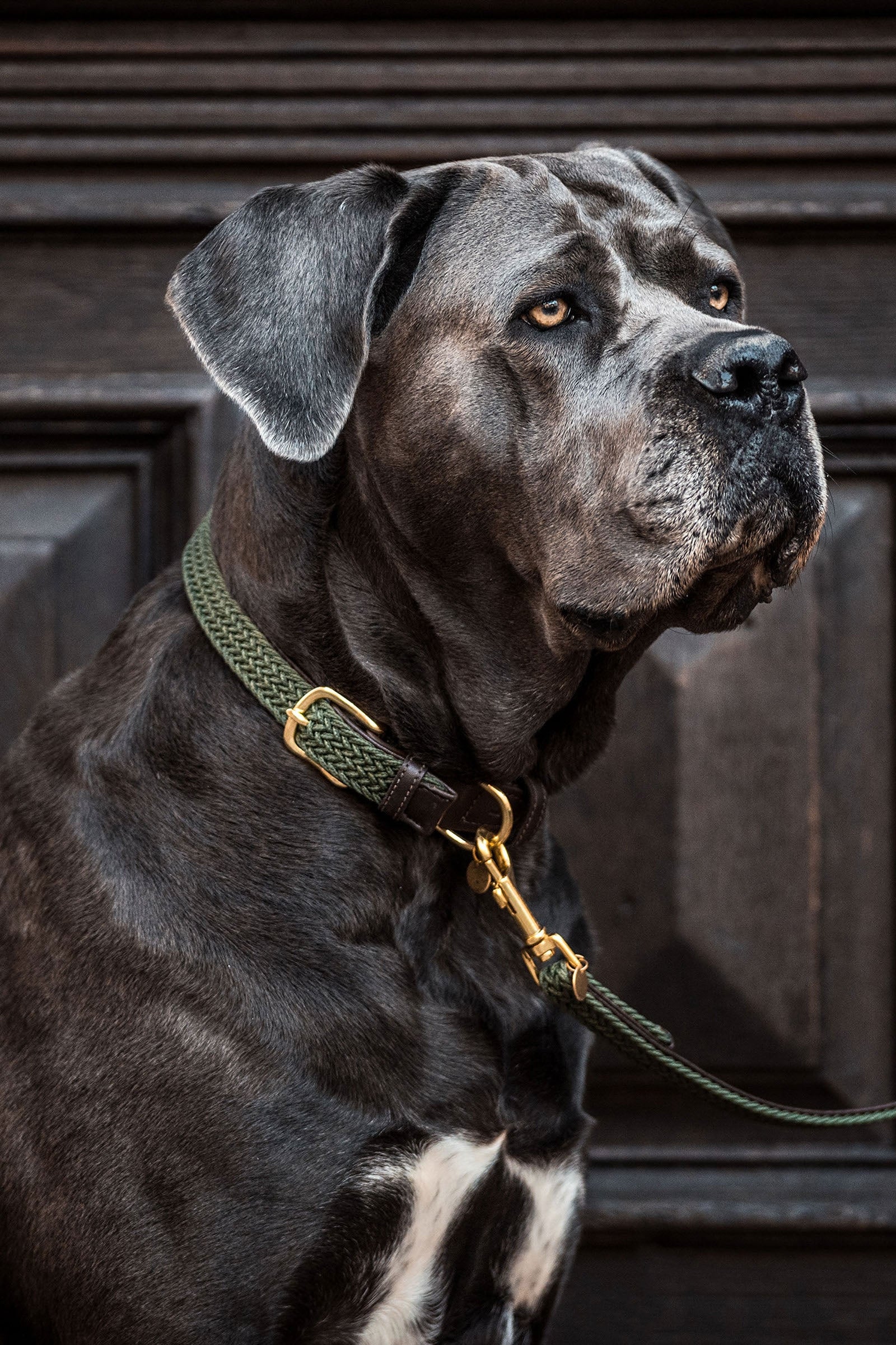 Kentucky Dogwear Gevlochten Nylon Hondenhalsband Hond