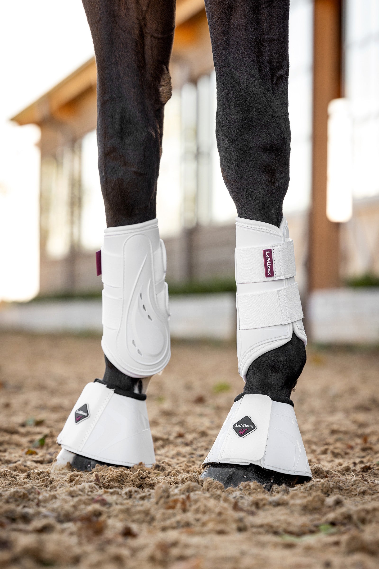 LeMieux ProShell Brushing Boots Leg & Hoof Protection