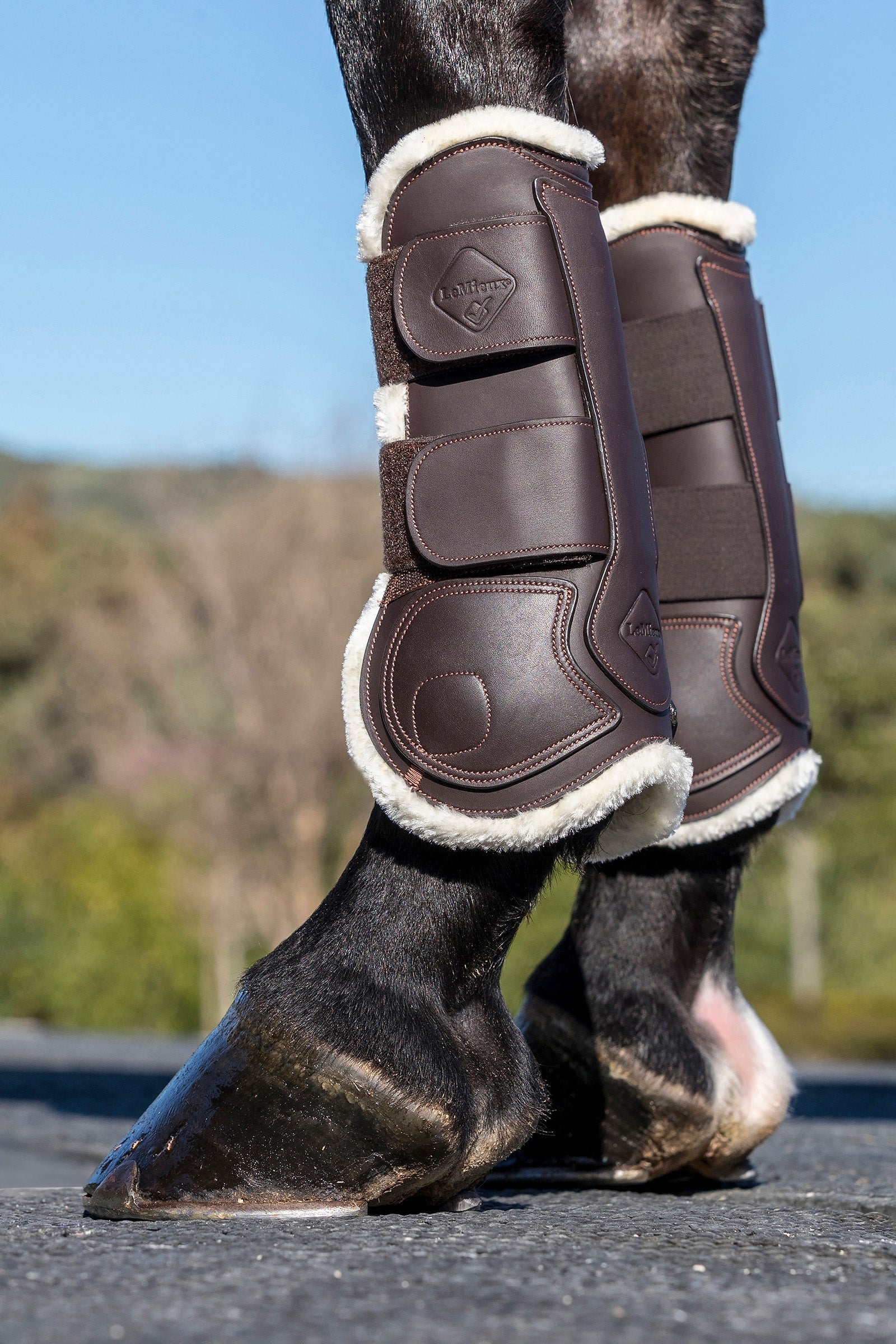 LeMieux Capella Leather Comfort Tendon Boots Leg Protection & Hoof Protection for Horses