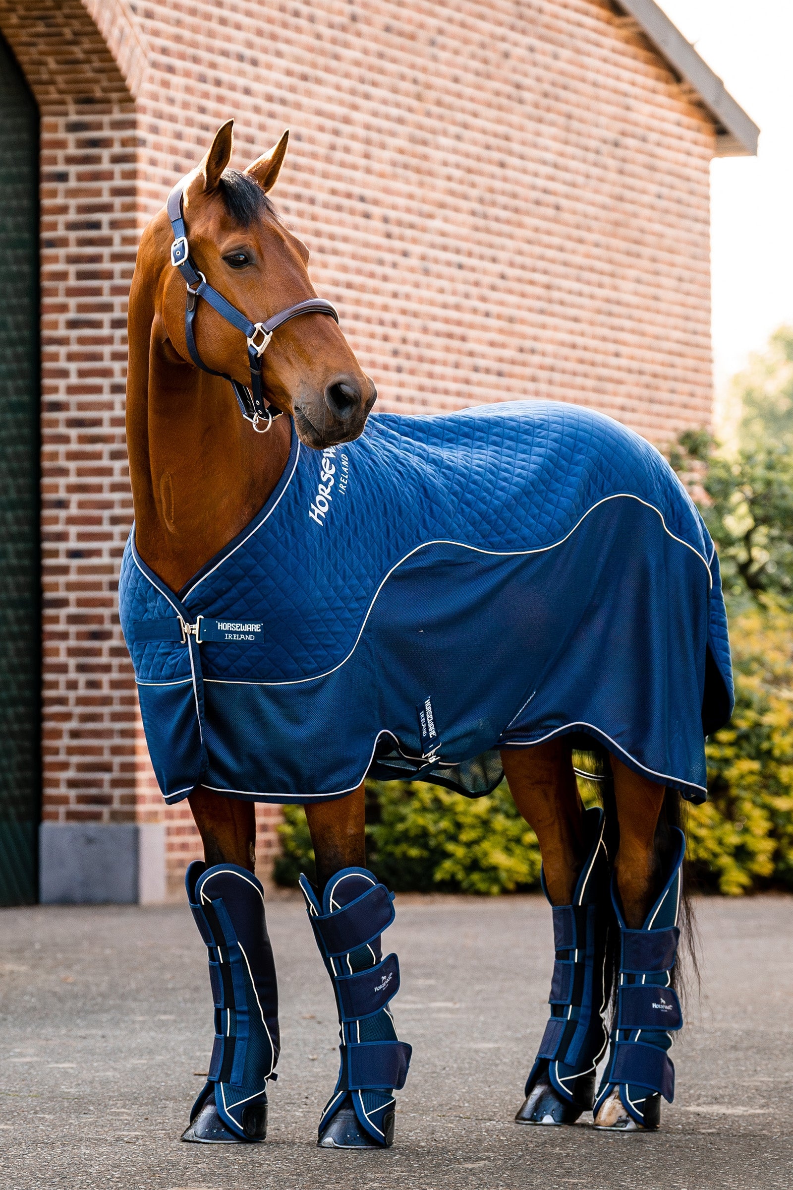 Horseware Signature Travel Boots Leg Protection & Hoof Protection for Horses