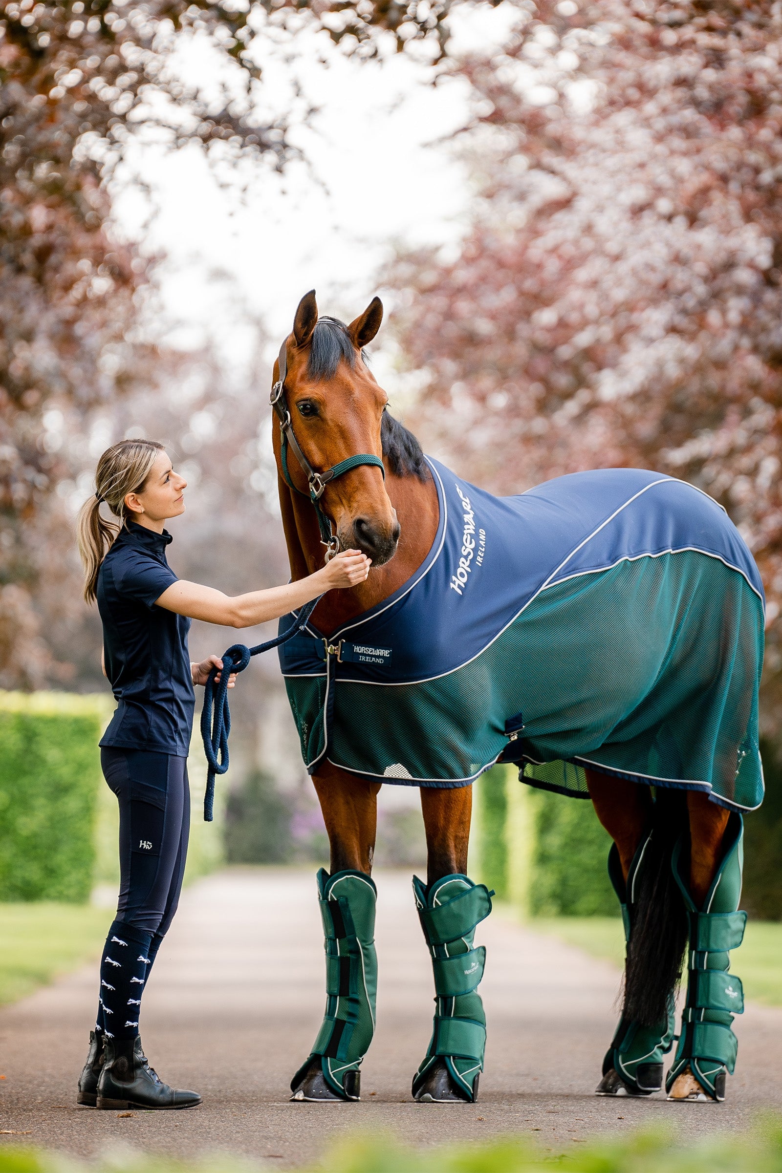 Horseware Signature Travel Boots Leg Protection & Hoof Protection for Horses