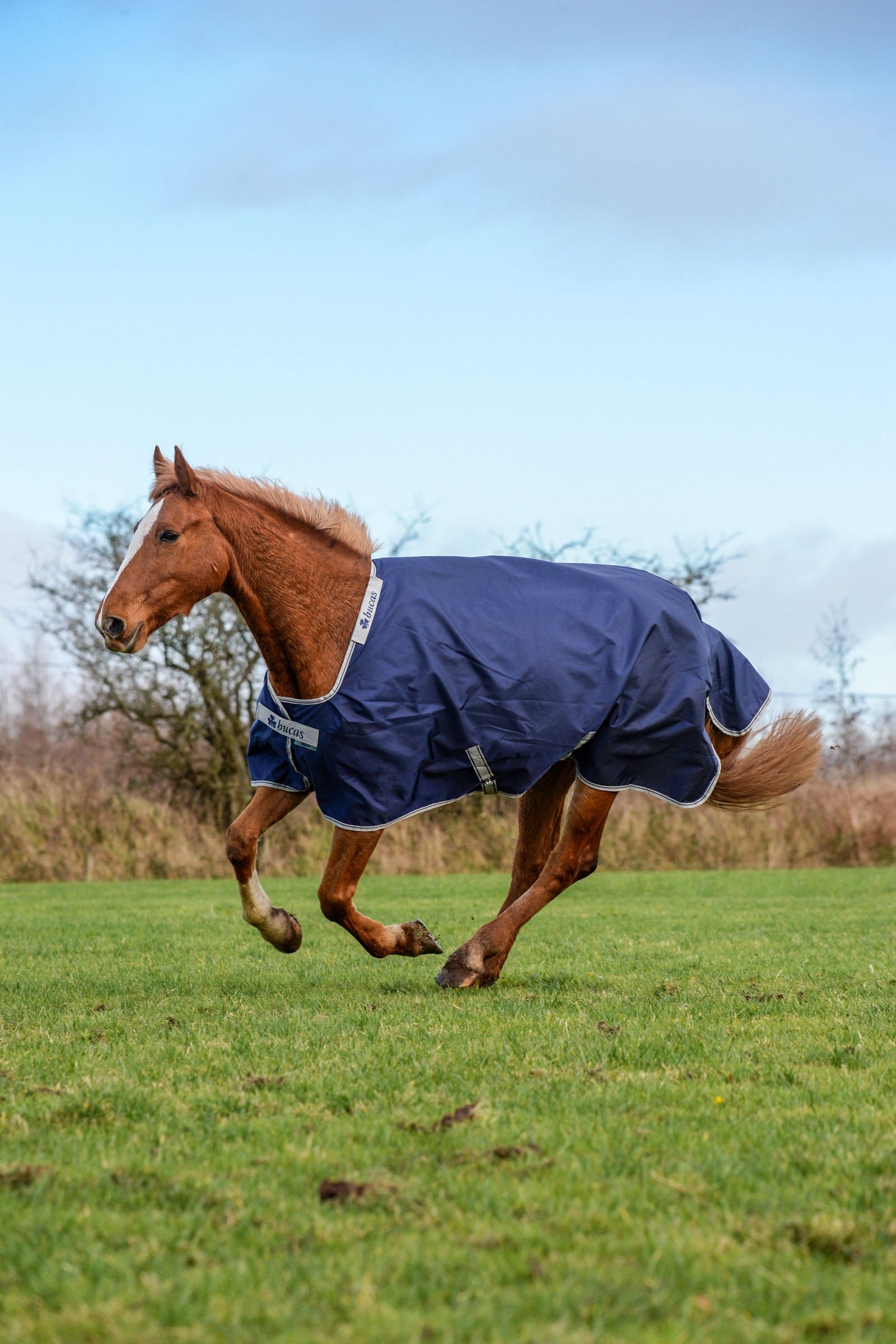 Bucas Atlantic Turnout 400g Paardendekens
