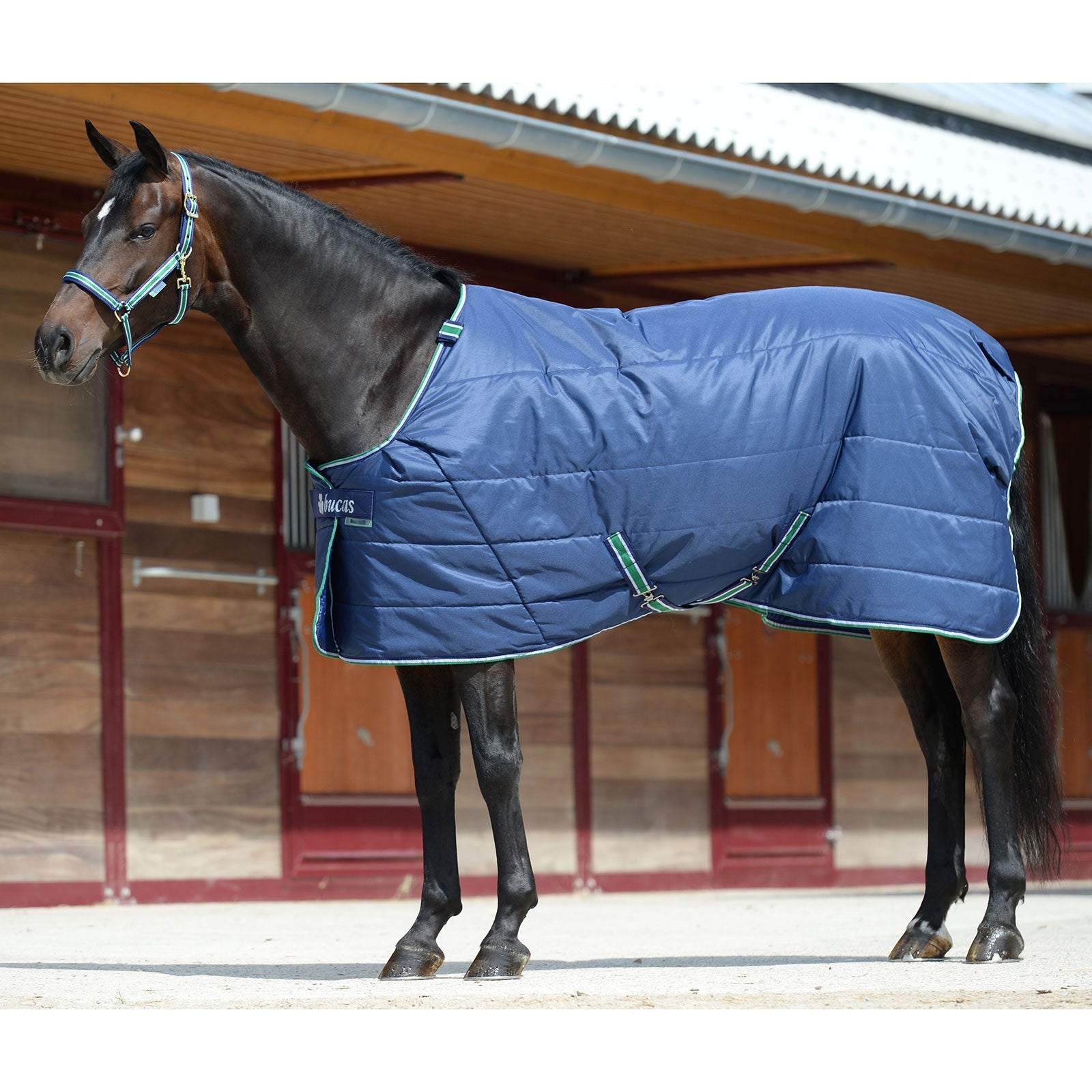 Bucas Quilt 150g SD Big Neck Paardendekens