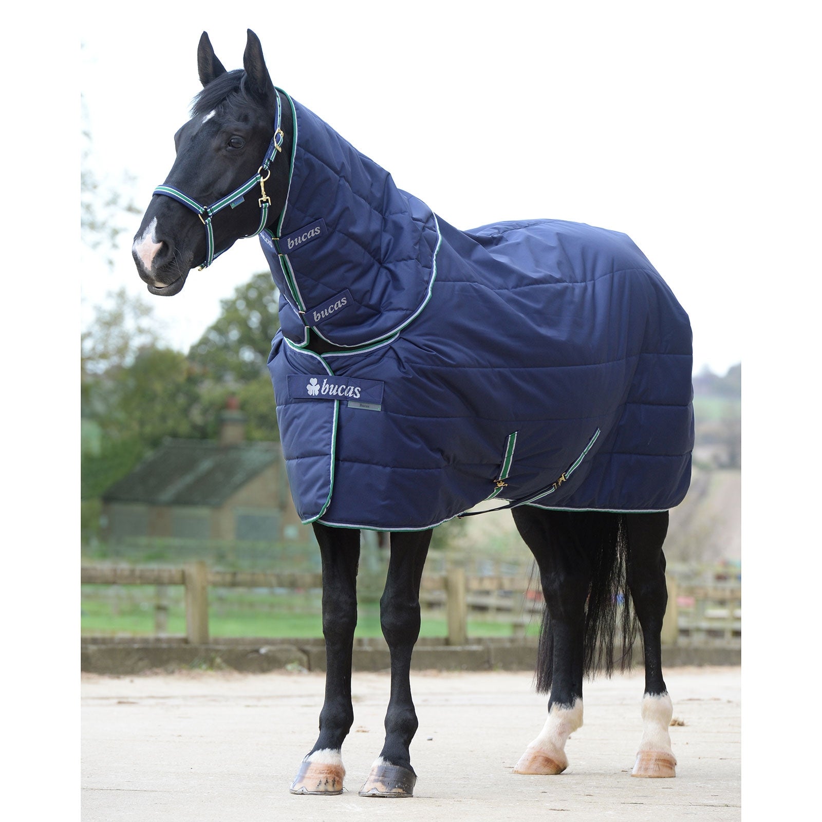 Bucas Quilt 150g SF Big Neck Paardendekens
