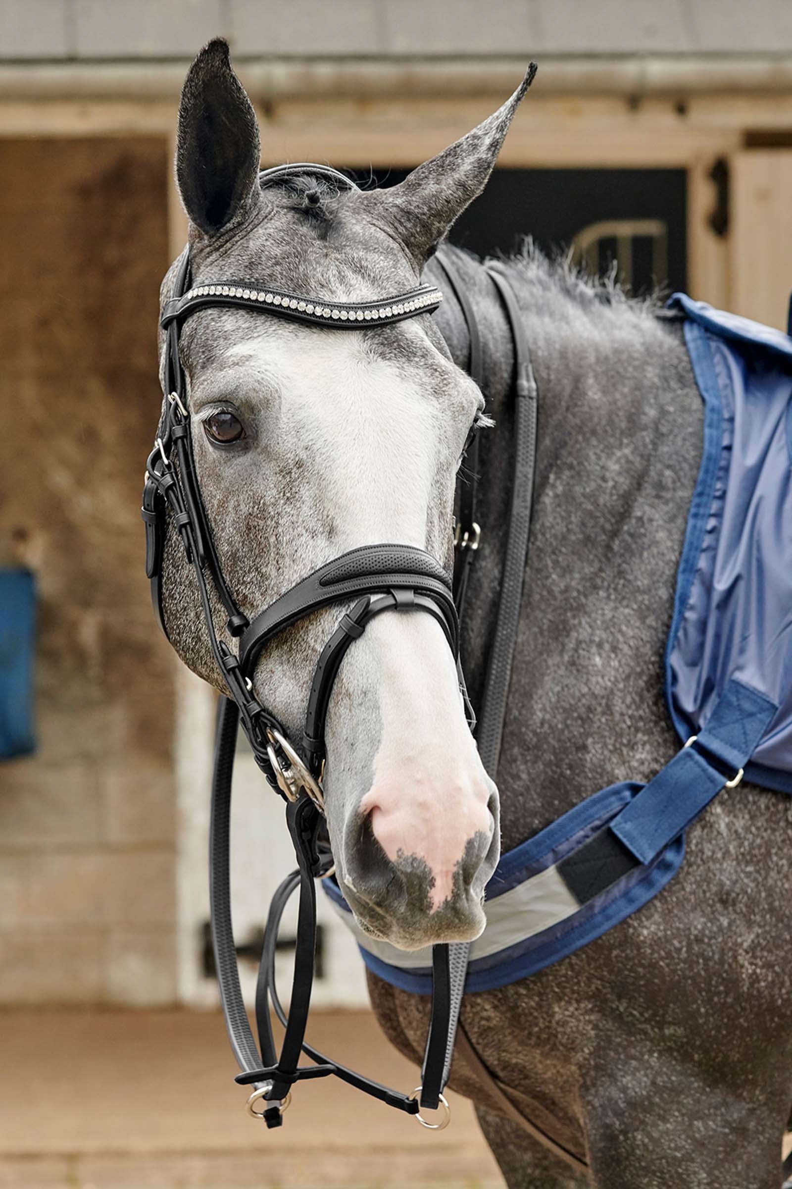 John Whitaker Chicago Perforated Bling Bridle Bridles & Reins