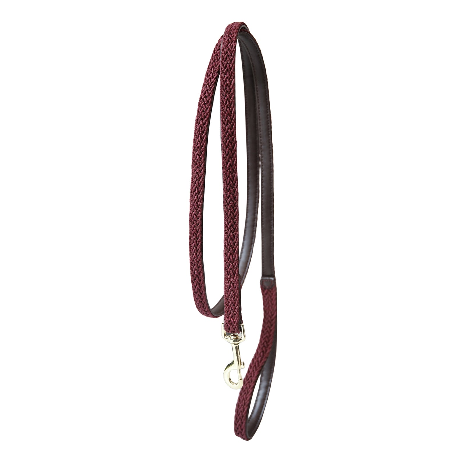 Kentucky Dogwear Plaited Nylon Dog Lead Hond