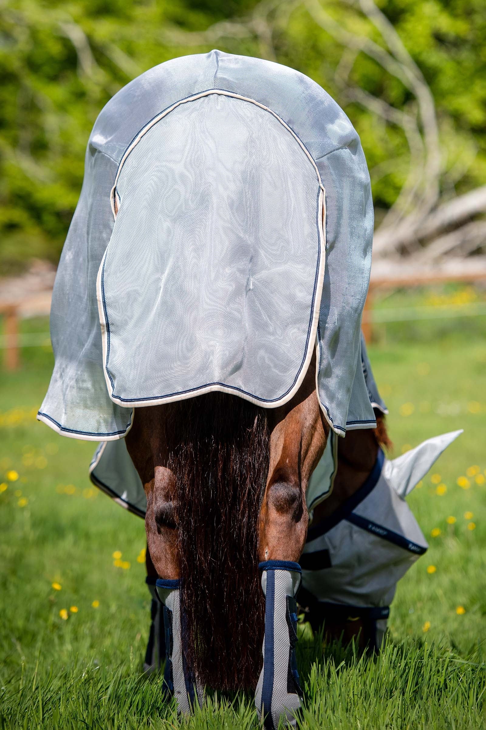 Vliegendeken Horseware Rambo Protector Zilver-blauw, 198 cm in zilver/blauw Vliegendeken Horseware Rambo Protector Zilver-blauw, 198 cm in zilver/blauw