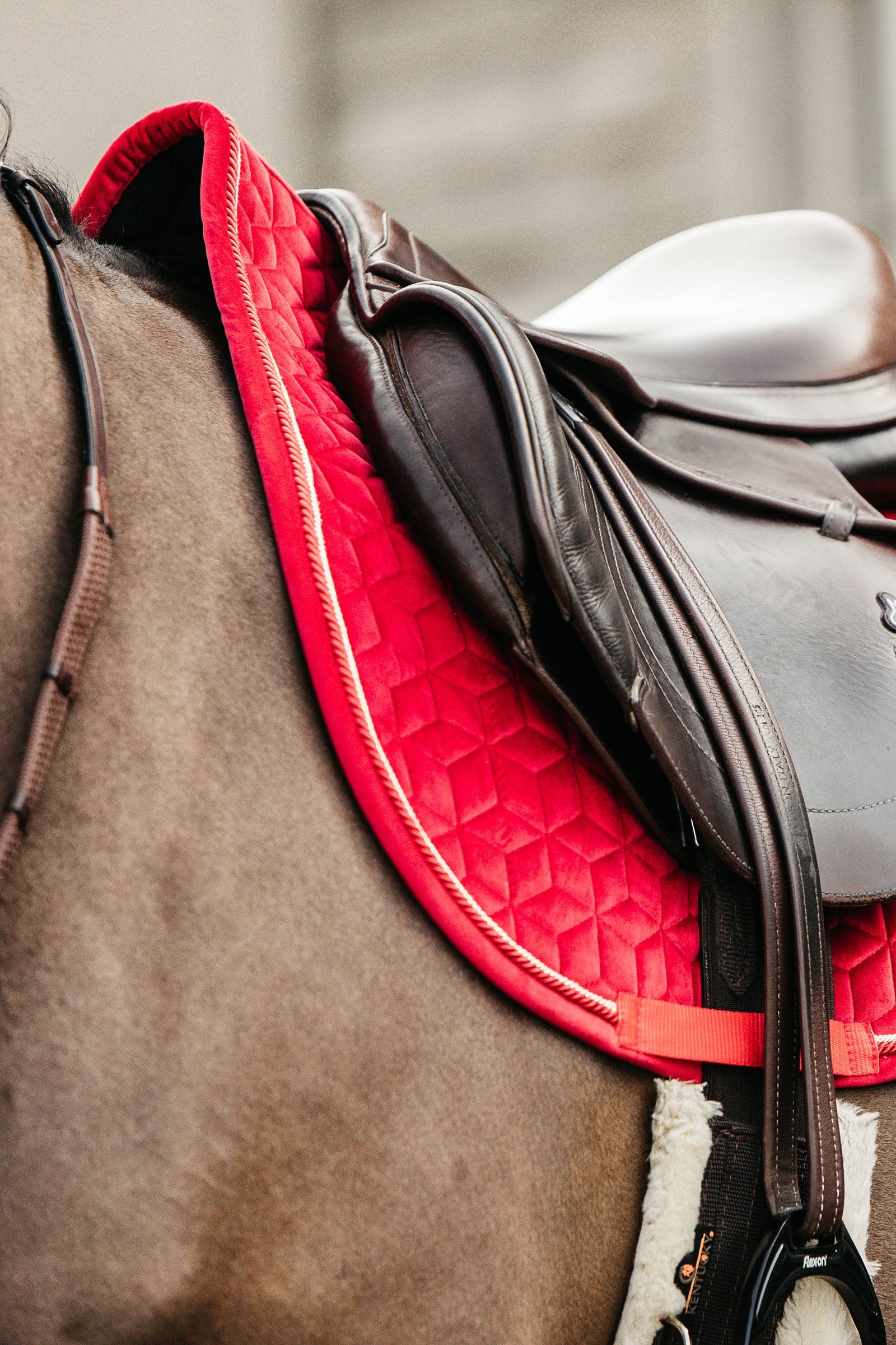 Kentucky Horsewear Velvet Dressage Saddle Pad Saddle Pads