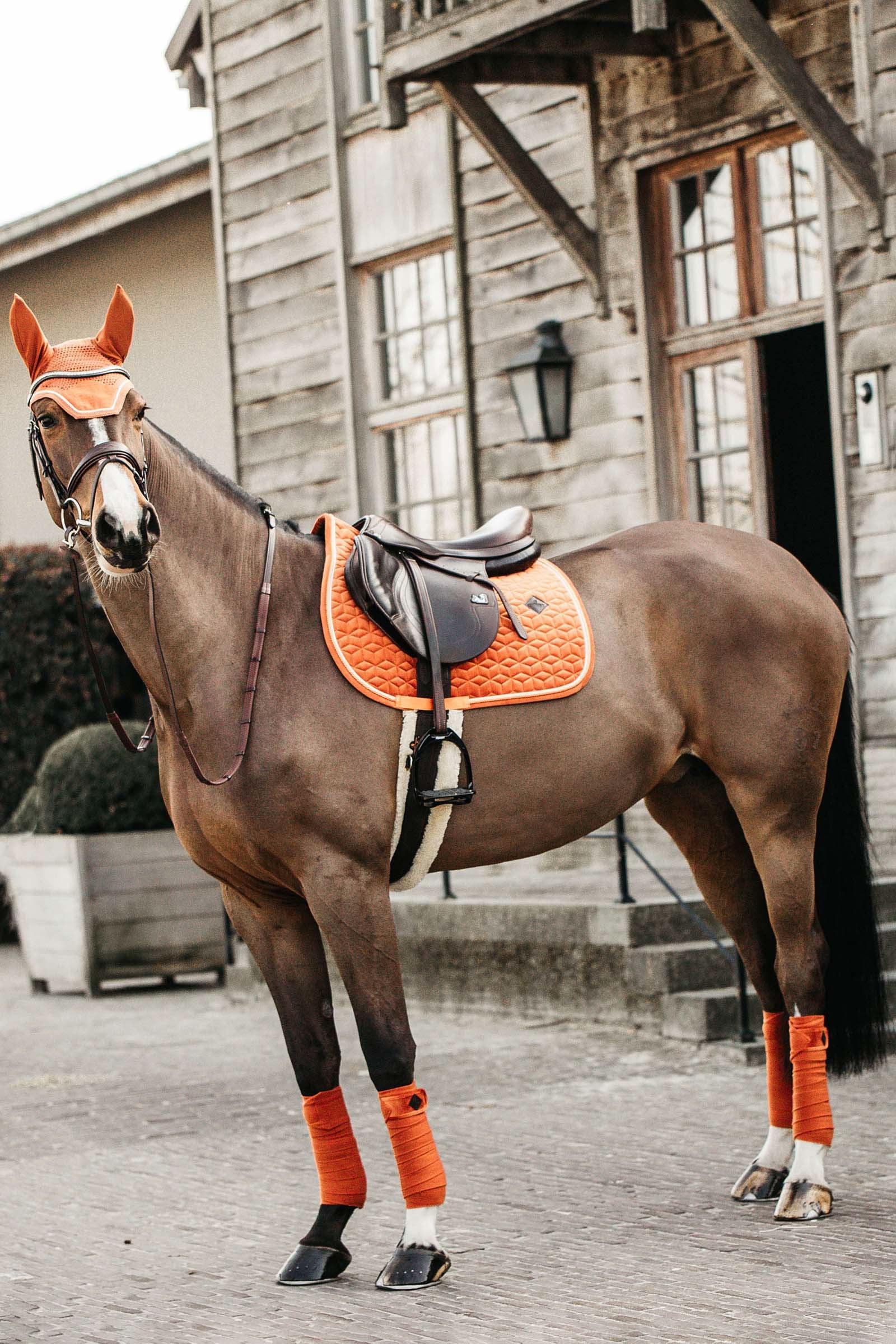 Kentucky Horsewear Velvet Jumping Saddle Pad Saddle Pads