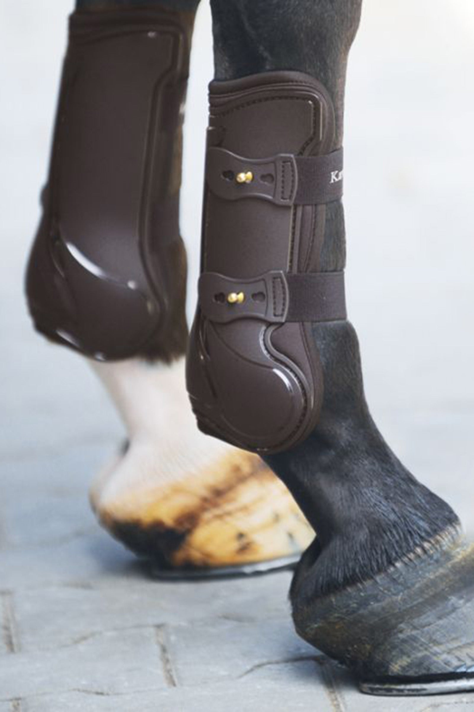 Kavalkade Compete Peesbeschermers Leg Protection & Hoof Protection for Horses
