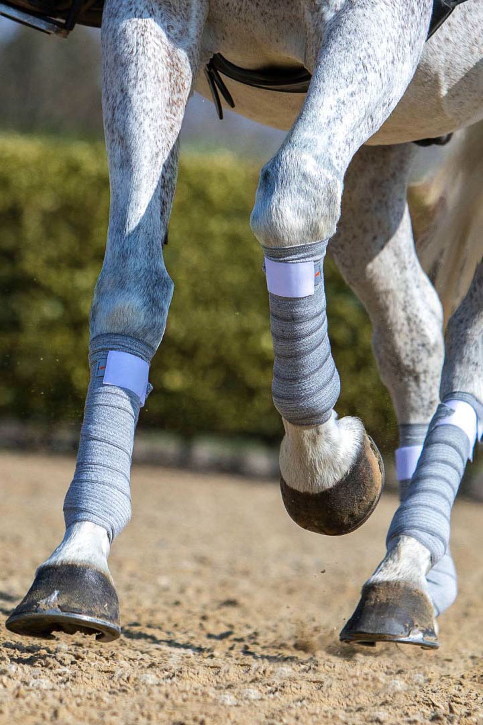 Incrediwear Circulation Bandages (12.5cm) Leg Protection & Hoof Protection for Horses