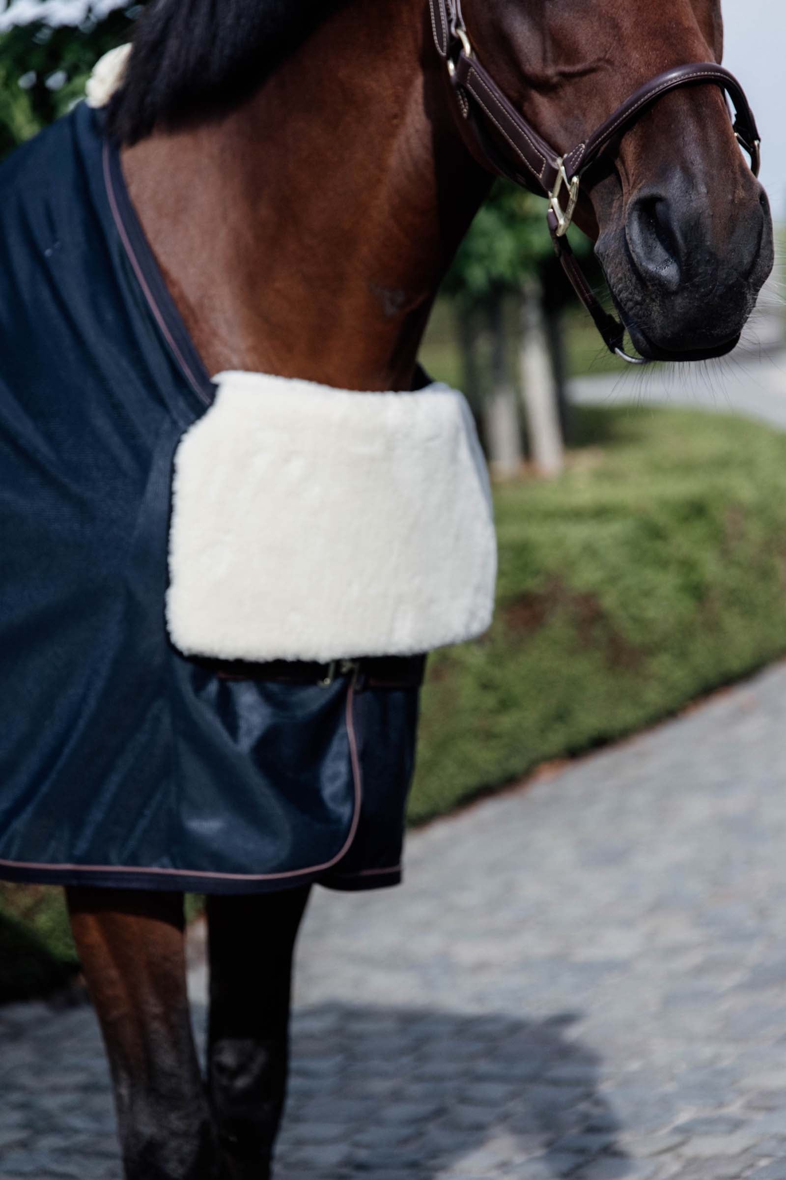 Kentucky Horsewear Horse Bib Borstbeschermer Paardendekens