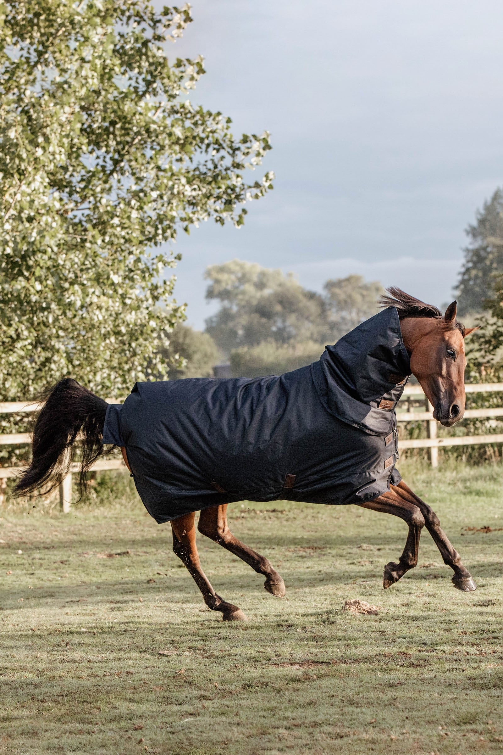 Kentucky Horsewear Turnout Rug All Weather Waterproof Classic, 150g Paardendekens