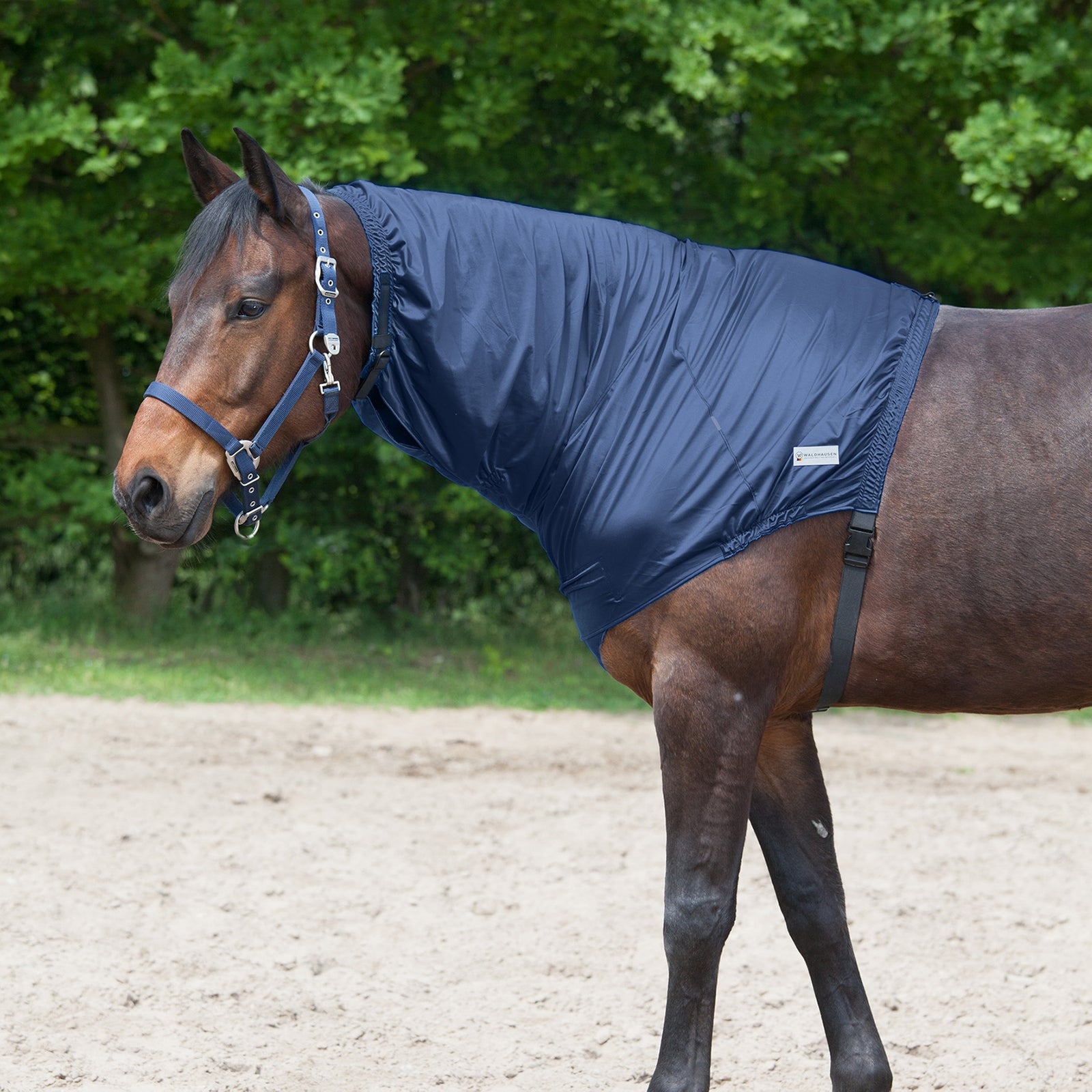 Waldhausen Eczeem Halsstuk Paardendekens