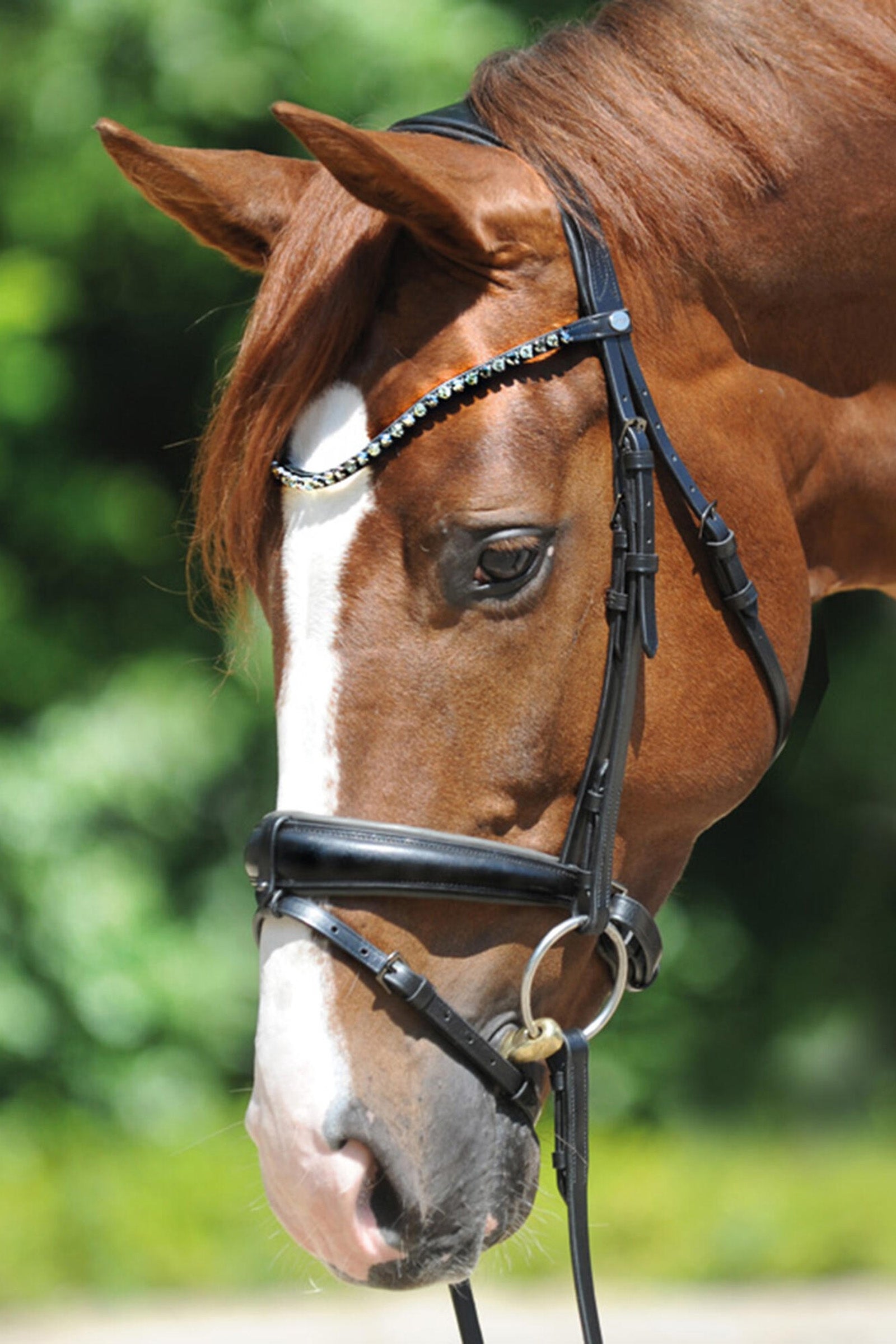 Kavalkade Grey Bridle Hoofdstellen & Teugels