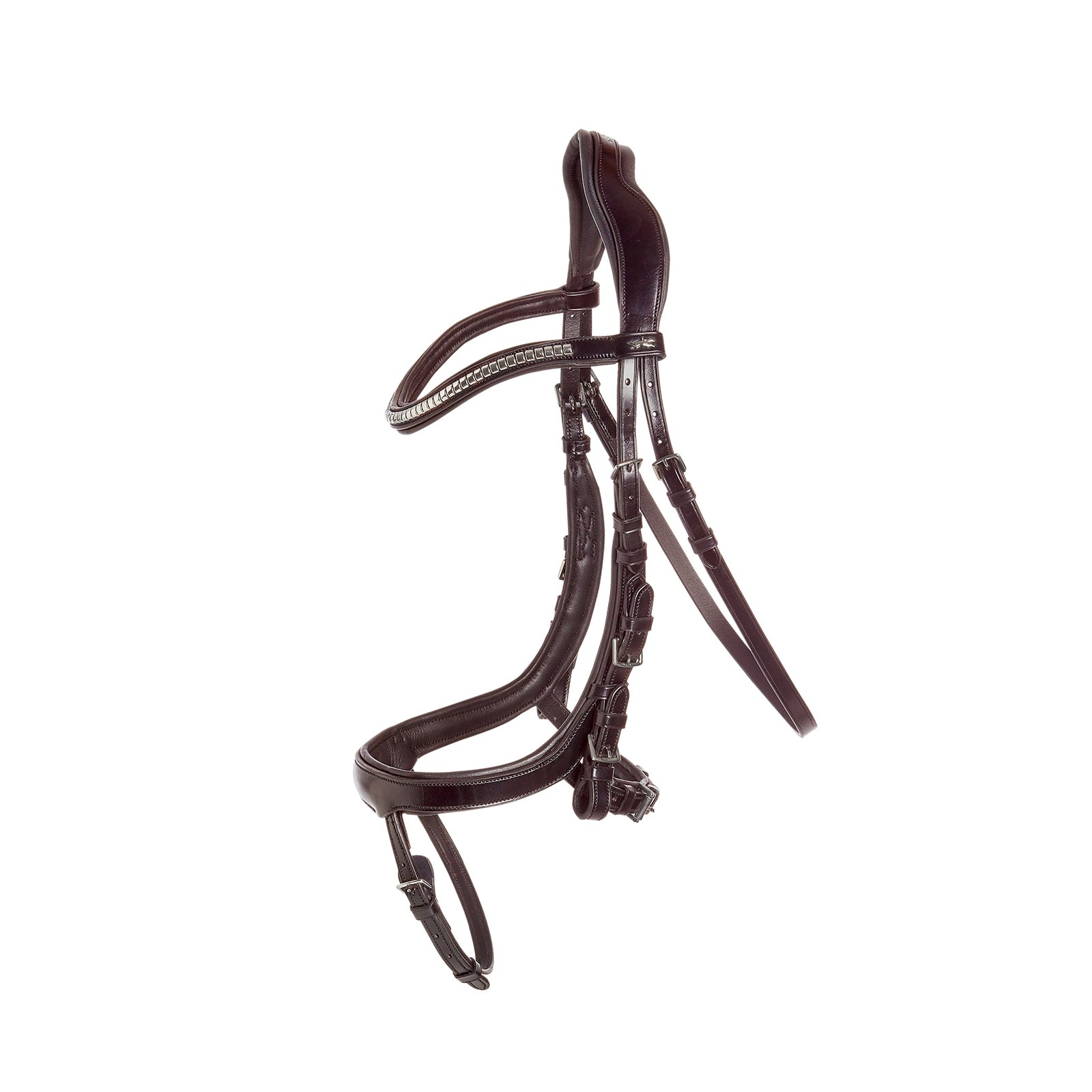 Alt Tag fallback text for IMAGE