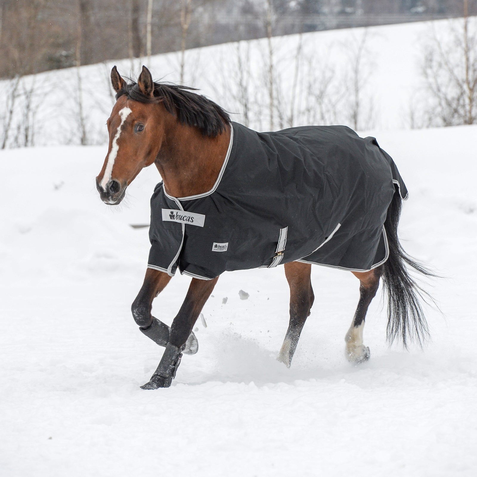 Bucas Anniversary Light SD Regendeken, 150 grams Paardendekens