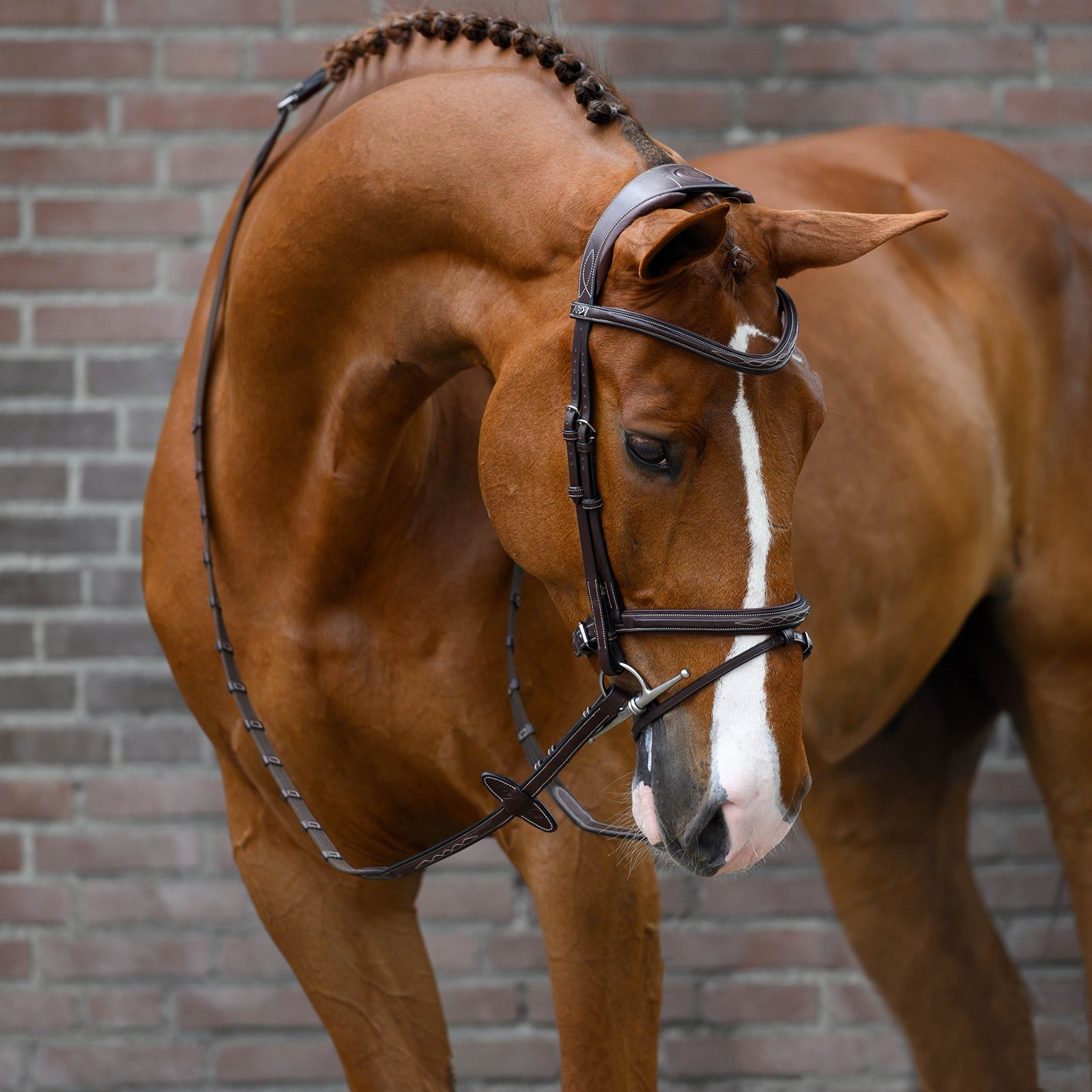 PS of Sweden bridle Stockholm Bridles & Reins