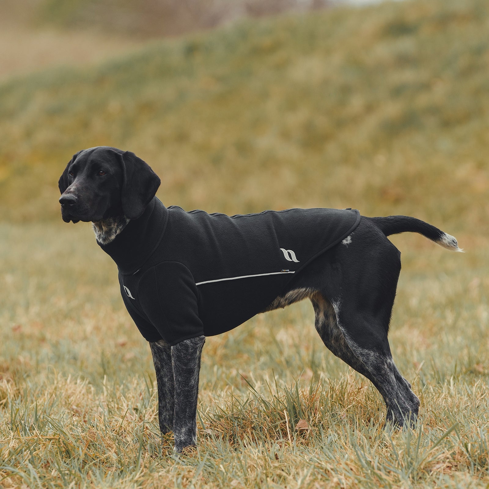 Back on Track Cassie All-Weather Jumper, 75-80cm Dog Accesories