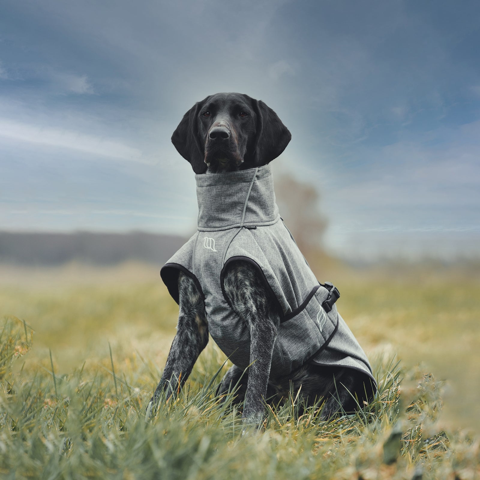 Back on Track Nella All-Round Dog Coat, 25-35cm Dog Accesories