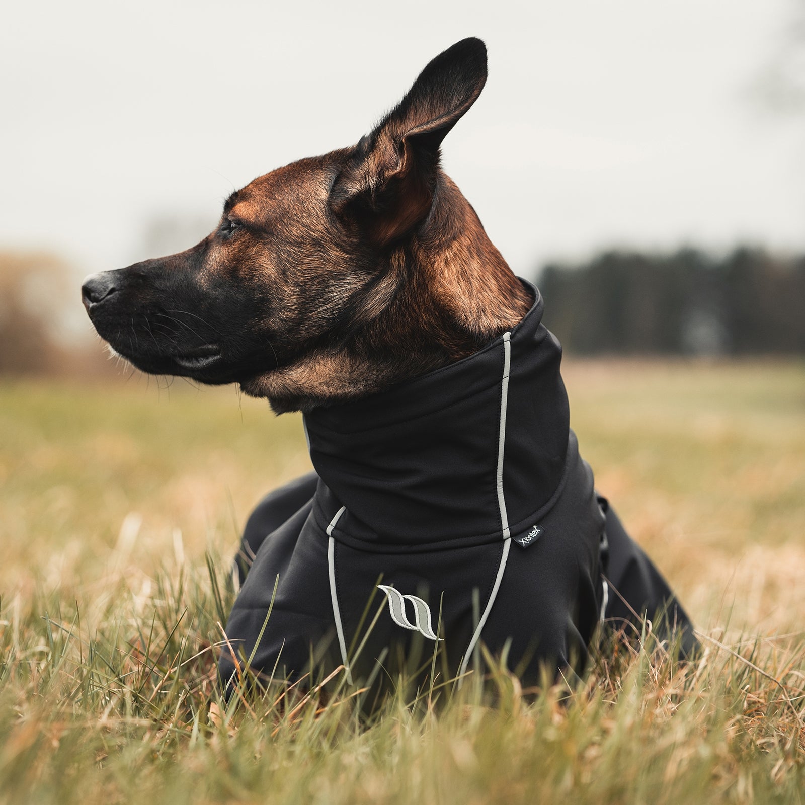 Back on Track Nella All-Round Dog Coat, 40-50cm Dog Accesories