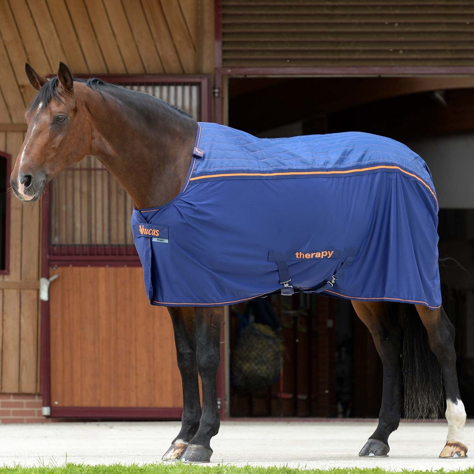 Bucas Therapy Zweetdeken, grote hals Paardendekens