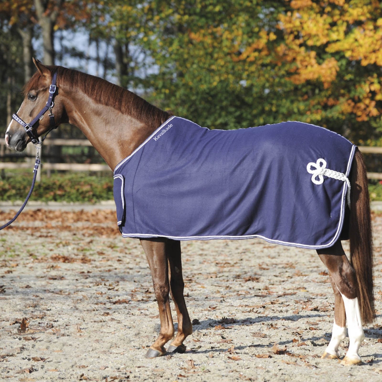 Kavalkade Zweetdeken met borstflap Paardendekens