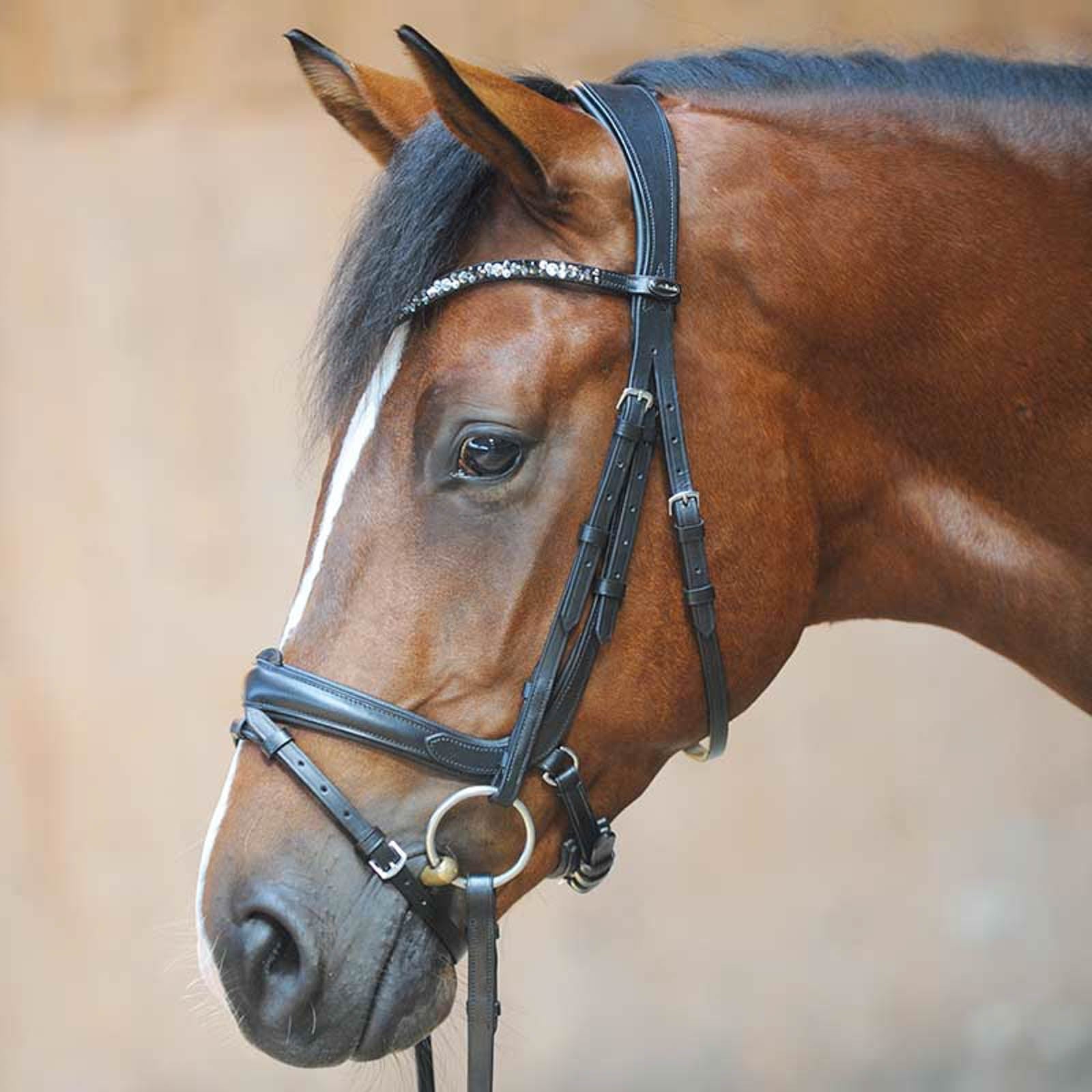 Kavalkade Ivonnne (Double) Bridle Bridles & Reins
