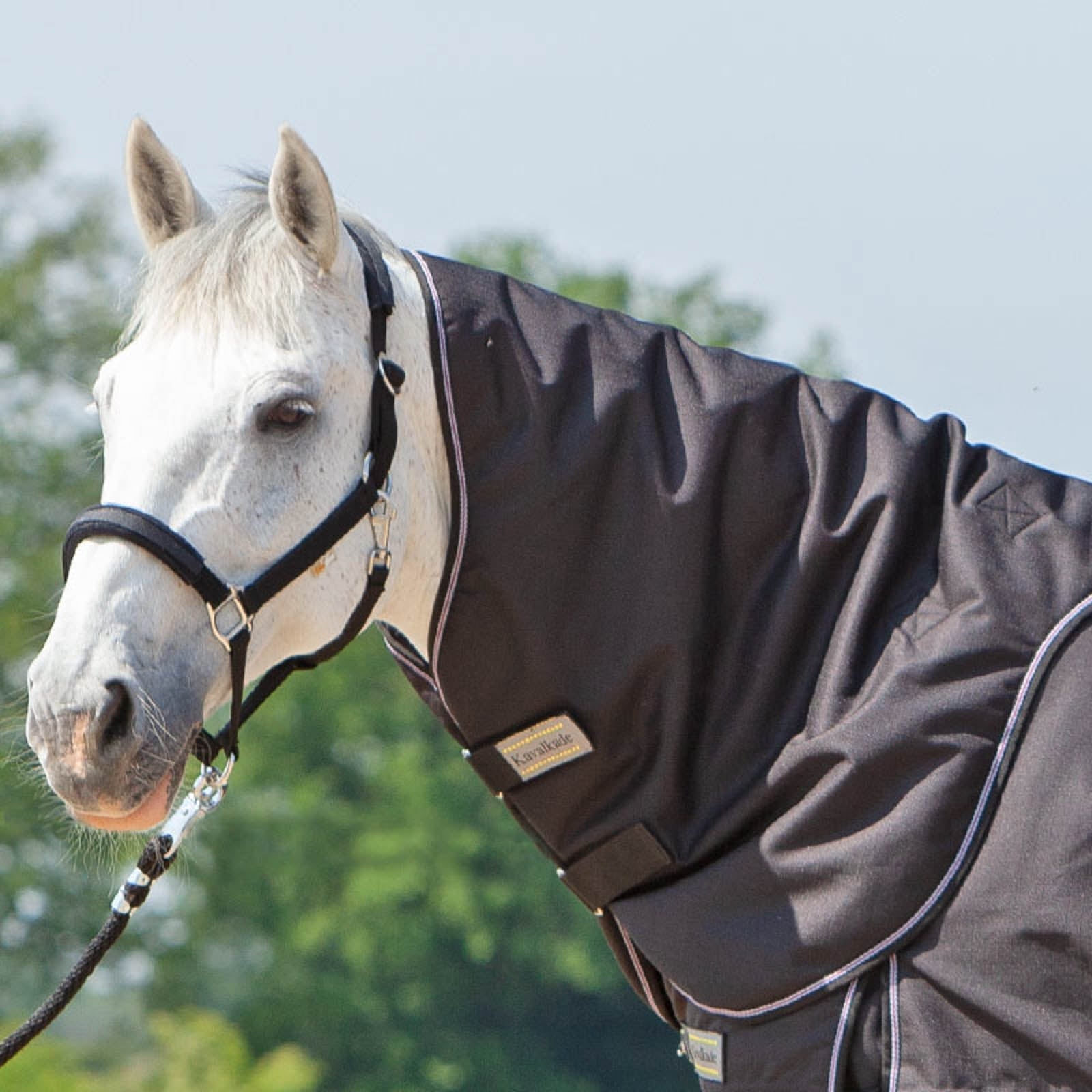 Kavalkade Hals voor Alaska IV, 100 grams Paardendekens