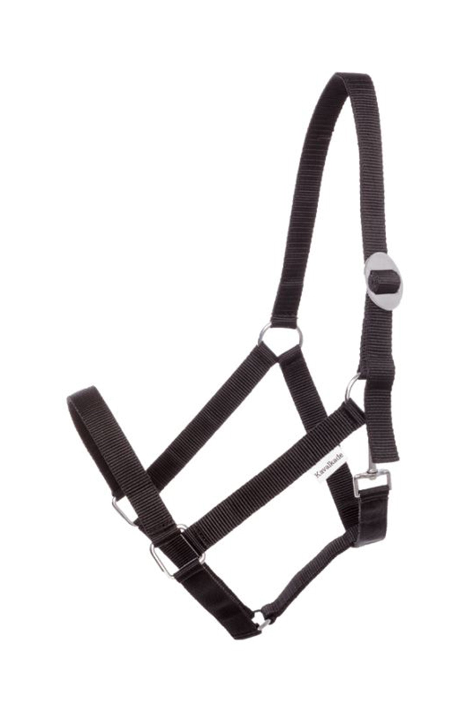 Kavalkade Simple Halster Halsters & Halstertouwen