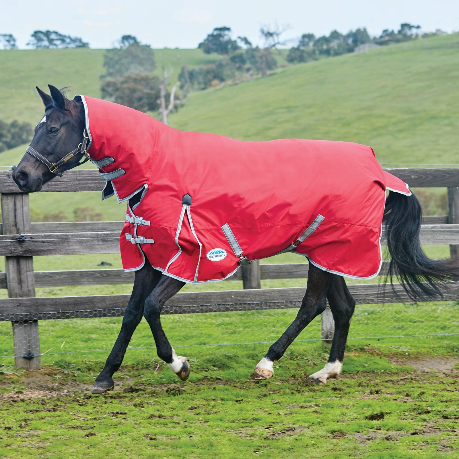 Weatherbeeta Comfitec Classic Combo Hals Regendeken, 100 grams Paardendekens