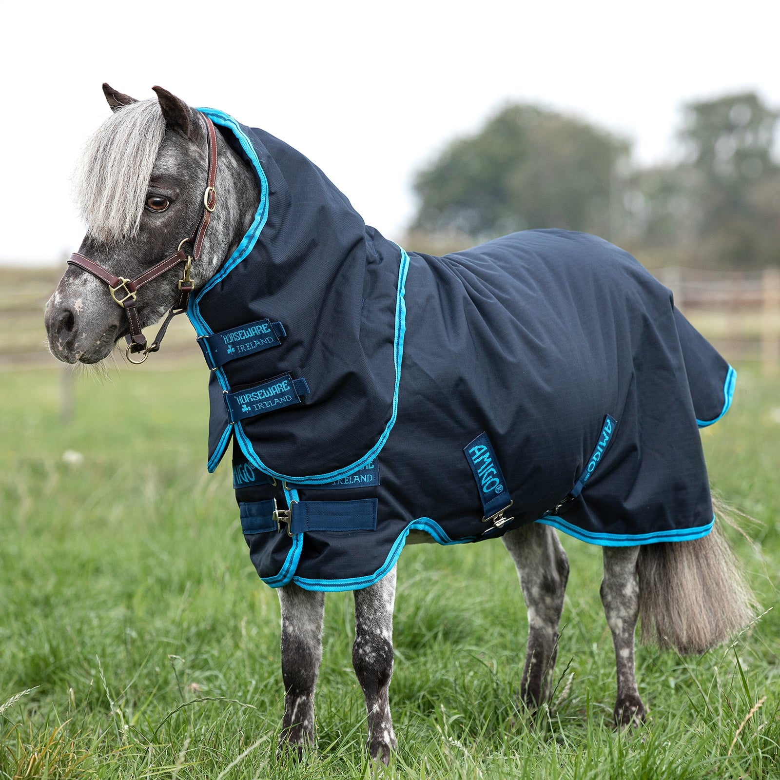 Horseware Amigo Hero 6 Petite Plus Regendeken, 200 grams, met afneembare hals Paardendekens
