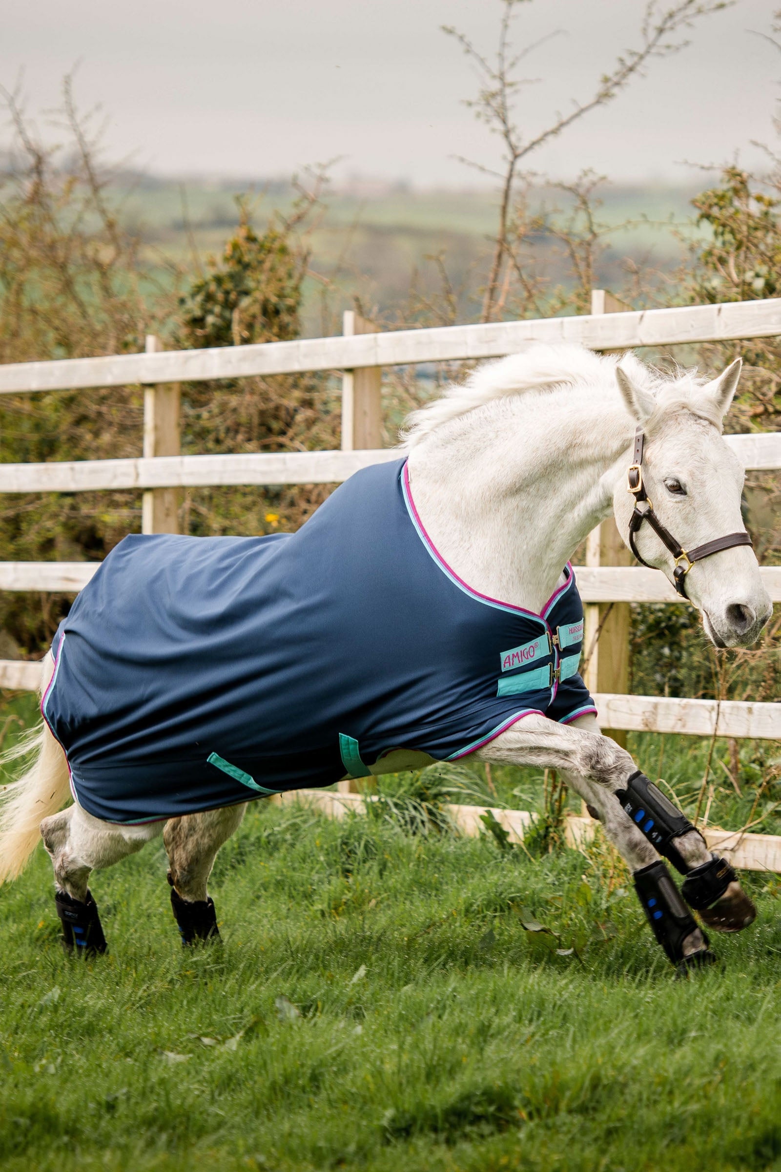 Horseware Amigo Hero 900 Pony Regendeken, 200 grams Paardendekens