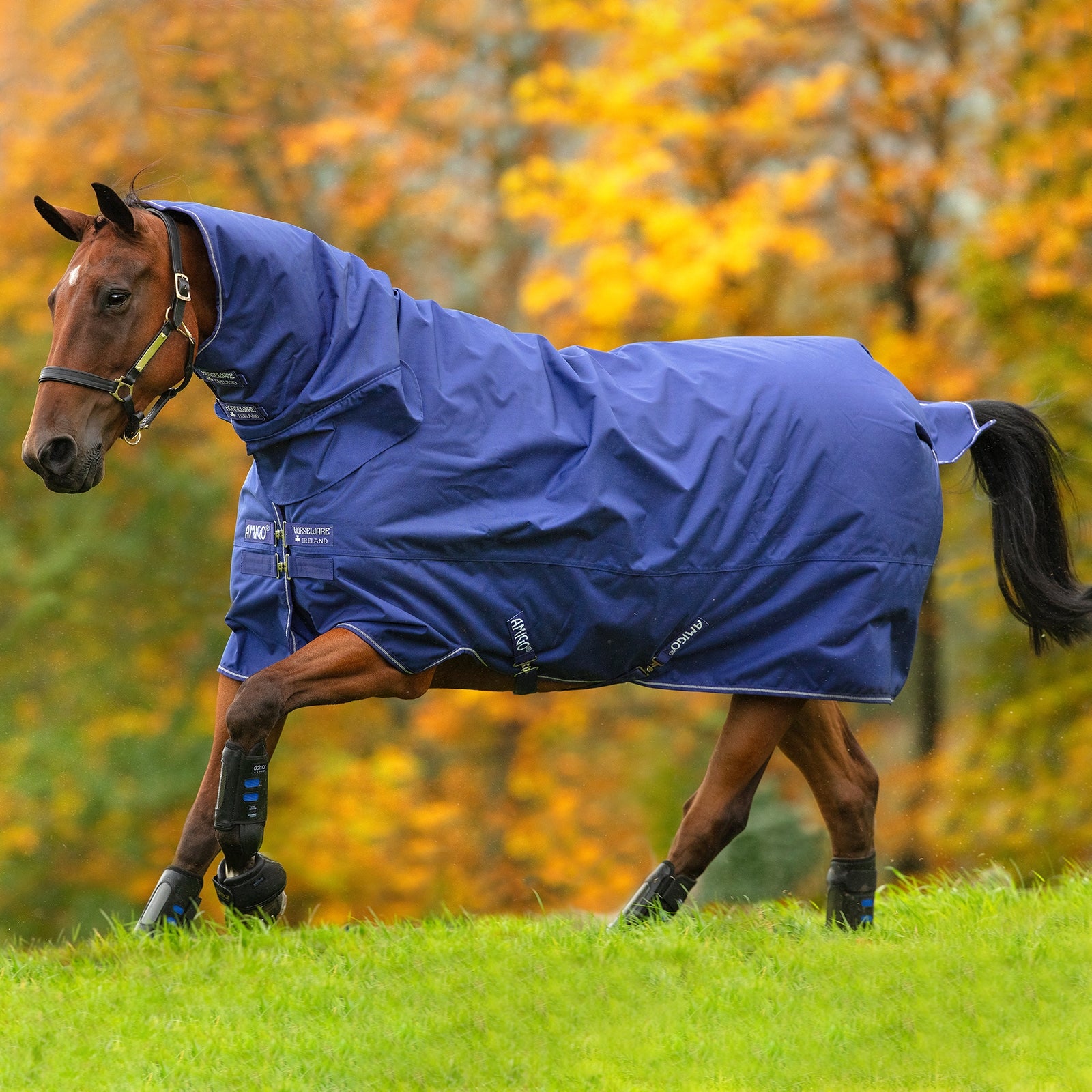 Horseware Amigo Hero 900 All-In-One Regendeken, 200 grams, met geïntegreerde hals Paardendekens