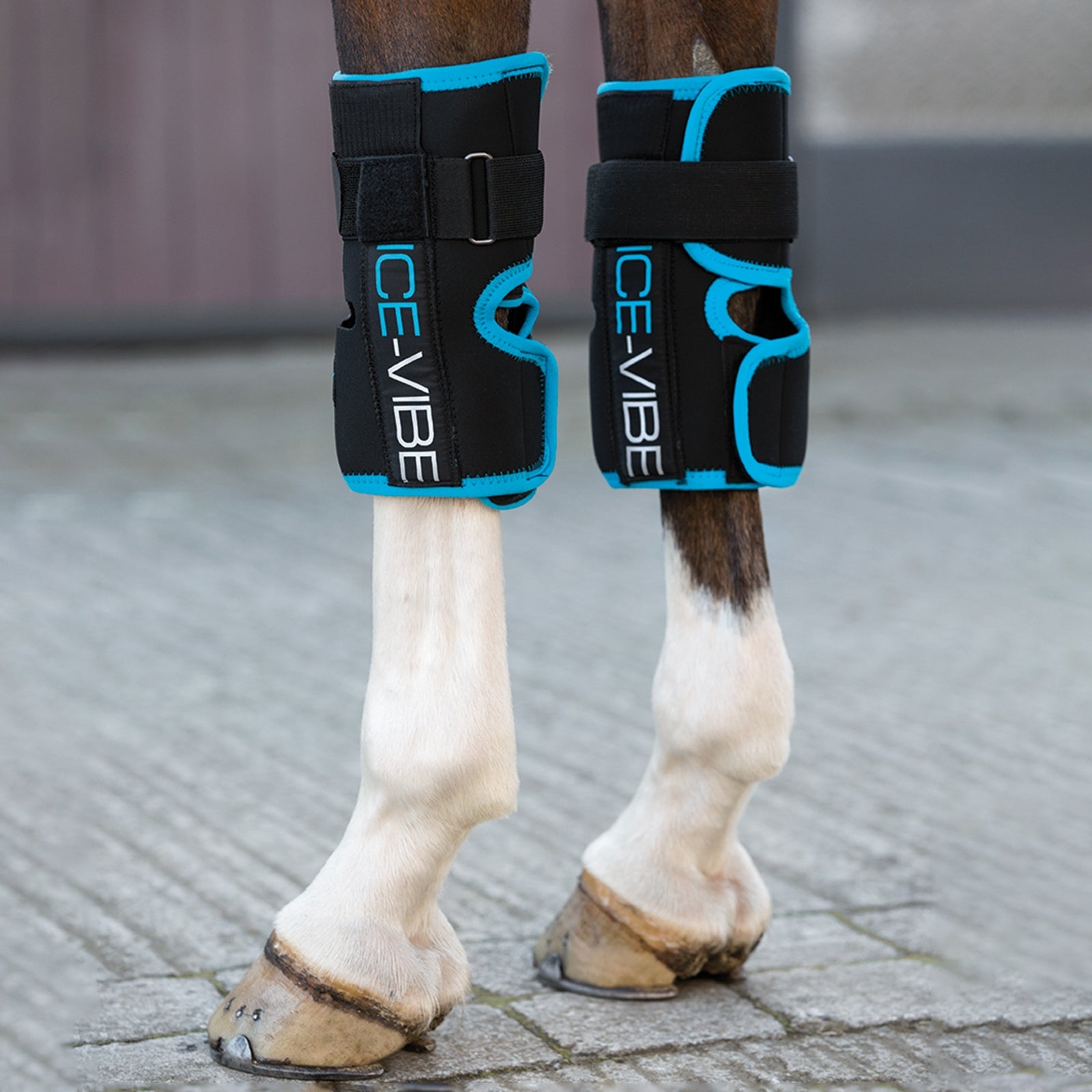 Horseware Ice-Vibe Kniebandage Gezondheid