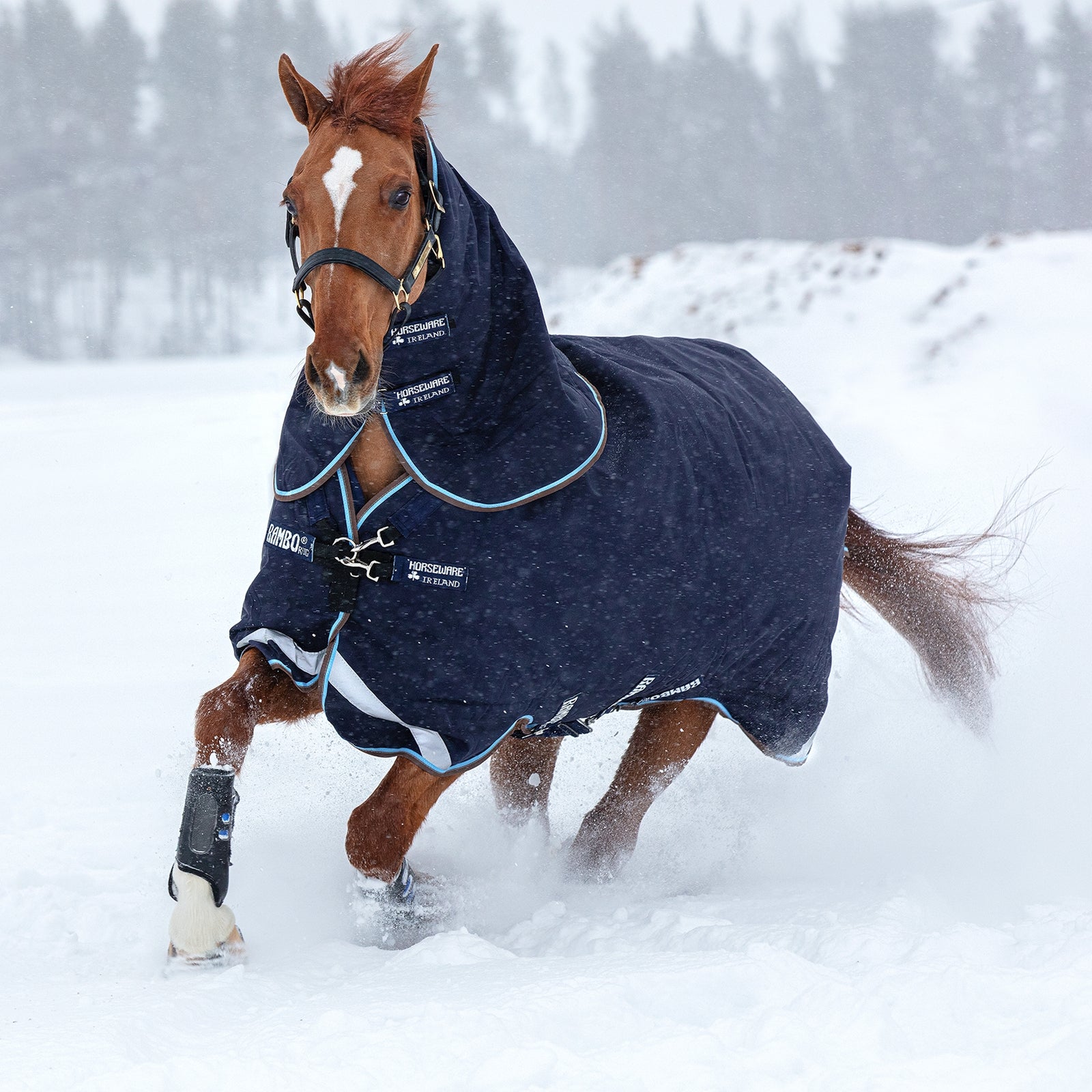 Horseware Rambo Duo Regendeken Incl. afneembare hals, 100 grams Paardendekens