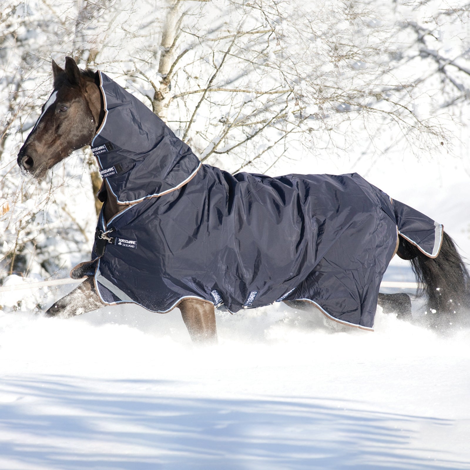 Horseware Rambo Duo Turnout incl. Detachable Hood, 100g Horse Rugs