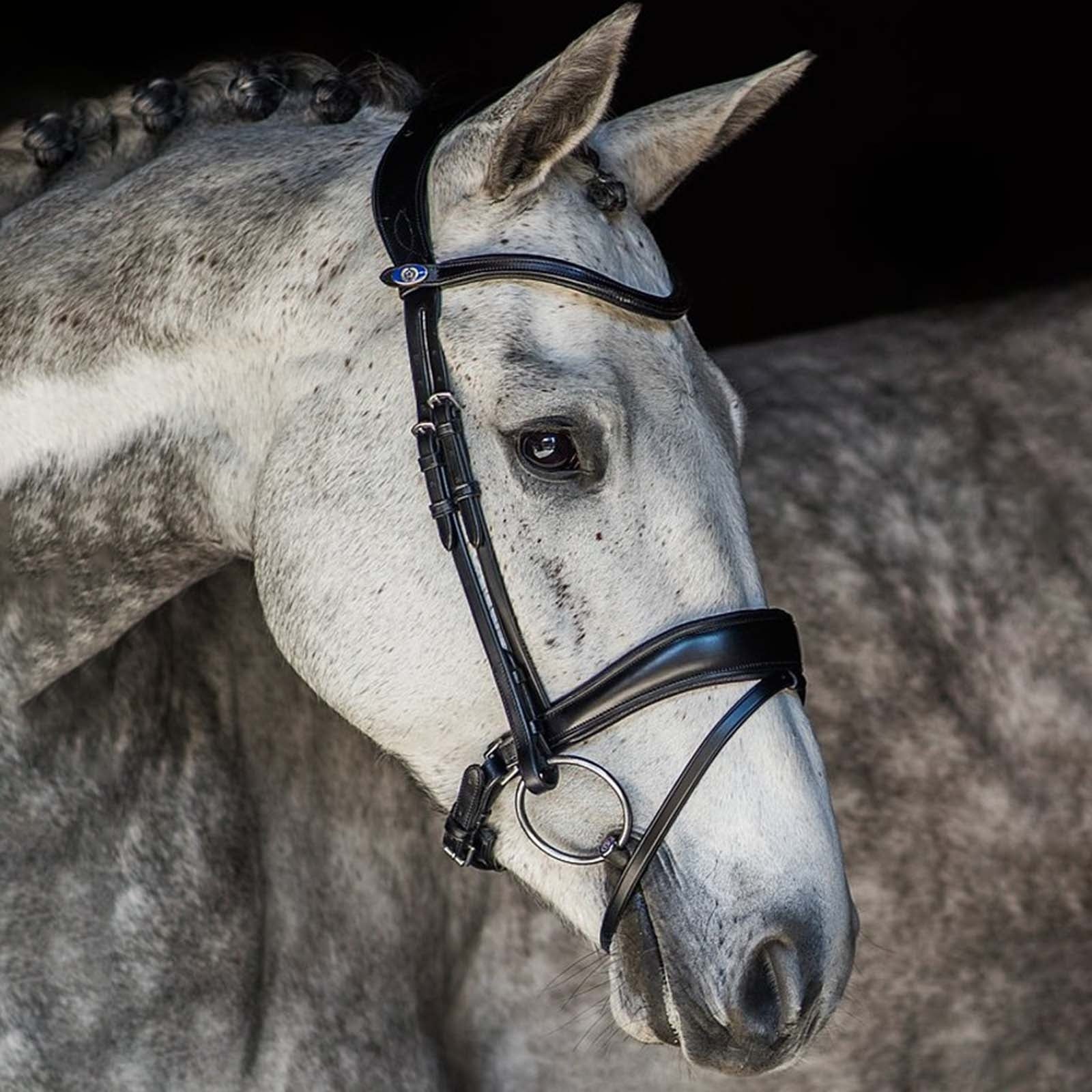 PS of Sweden Flying Change Bridle Bridles & Reins