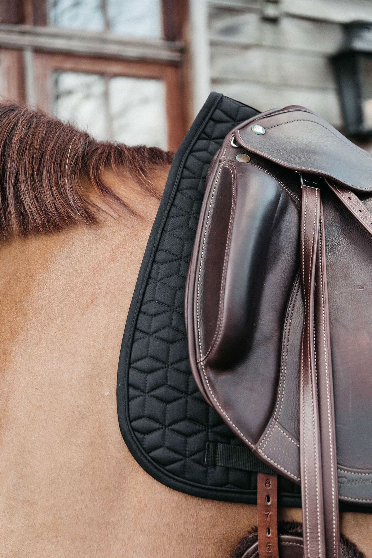 Kentucky Horsewear Basic Dressage Saddle Pad Saddle Pads