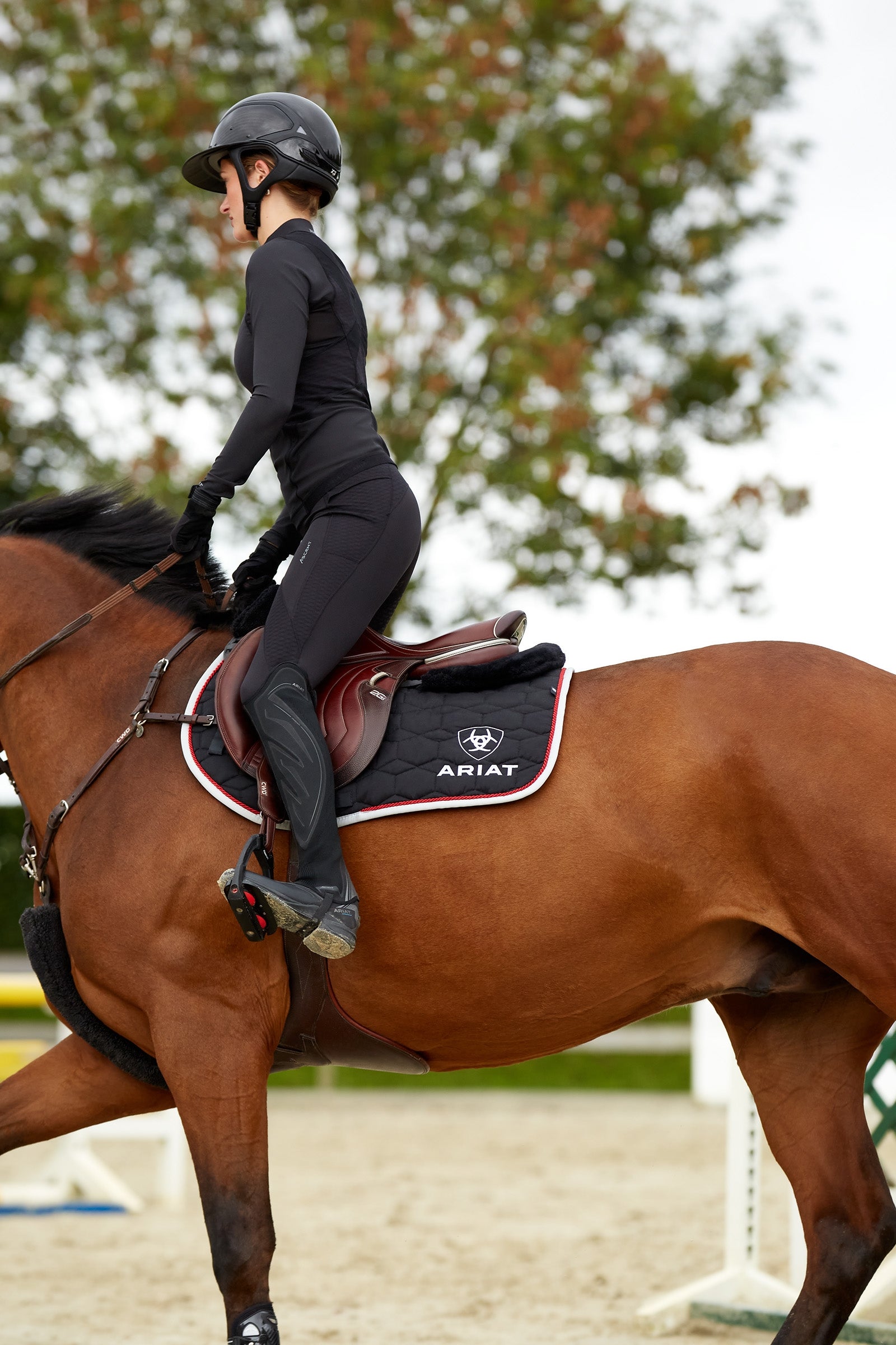 Ariat Ascent Women's Knee Grip Tights Womens Breeches