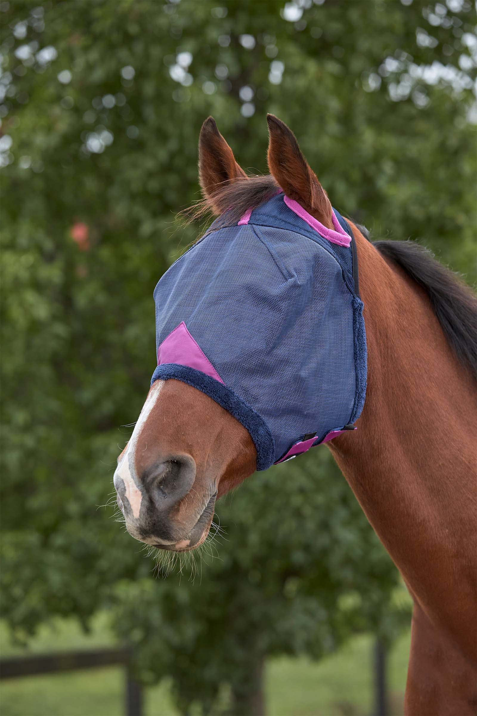 Weatherbeeta Comfitec Deluxe Durable Mesh Mask Antifly Protection for Horses