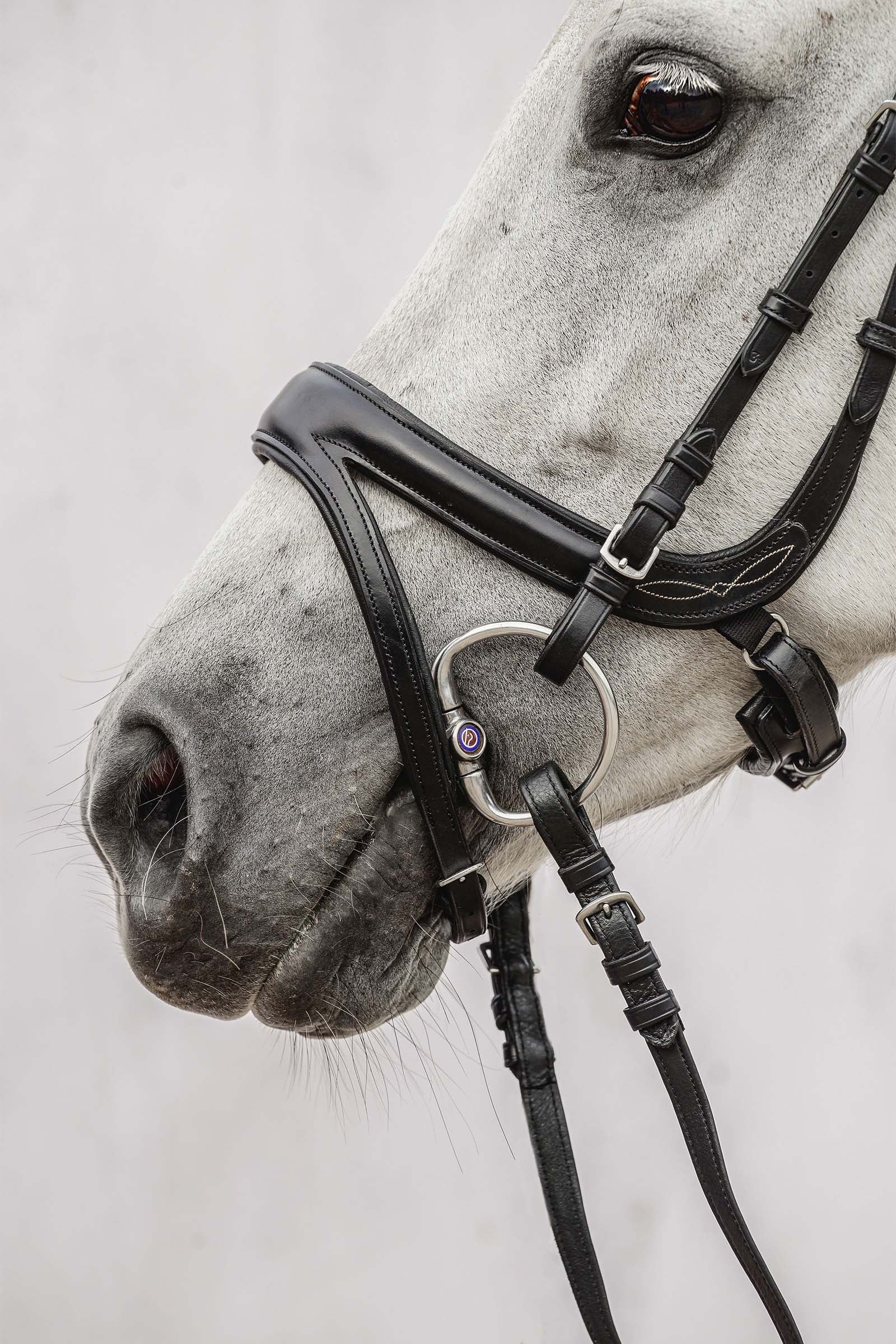PS of Sweden Jump Off Bridle Bridles & Reins