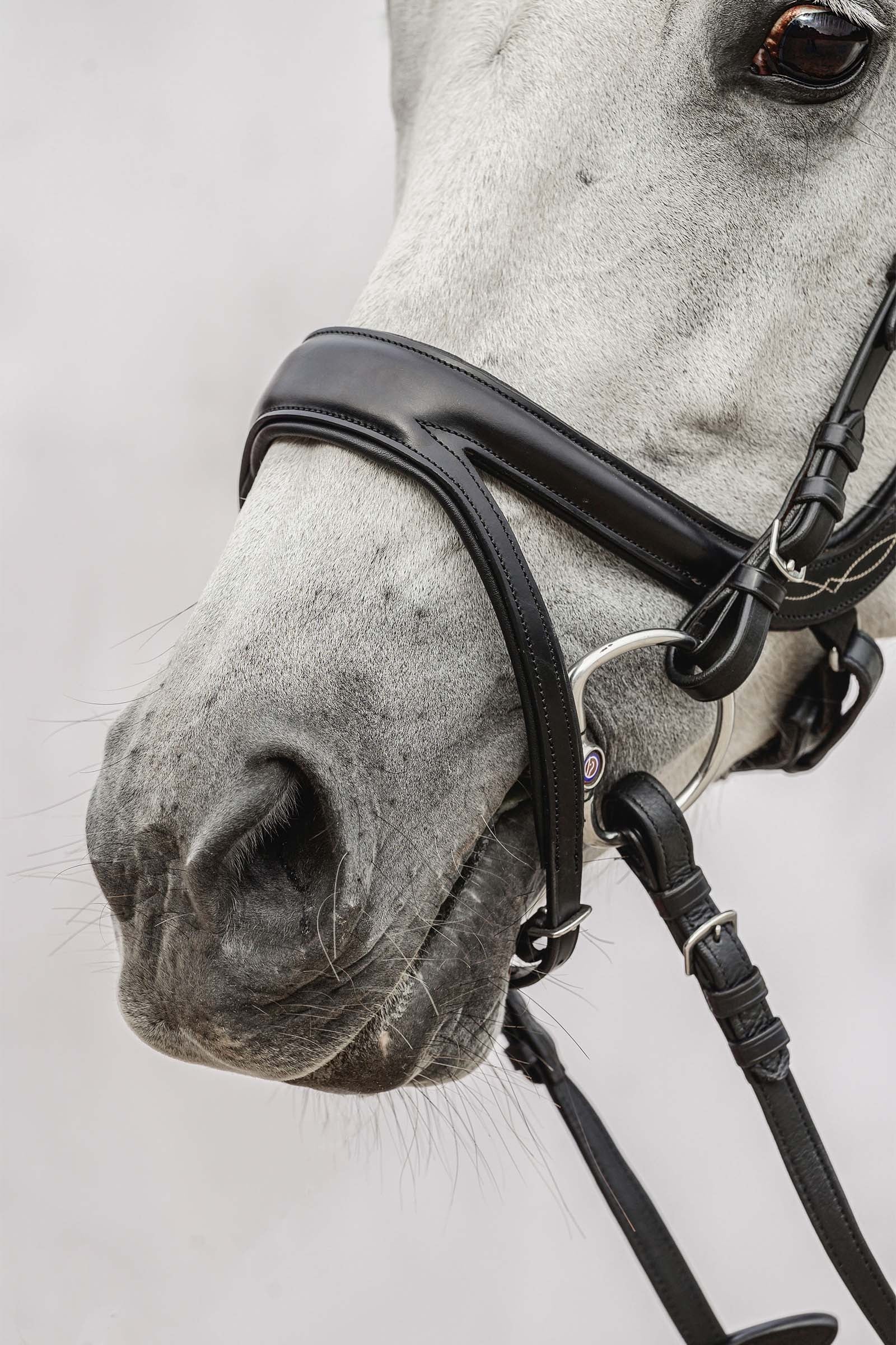 PS of Sweden Jump Off Bridle Bridles & Reins