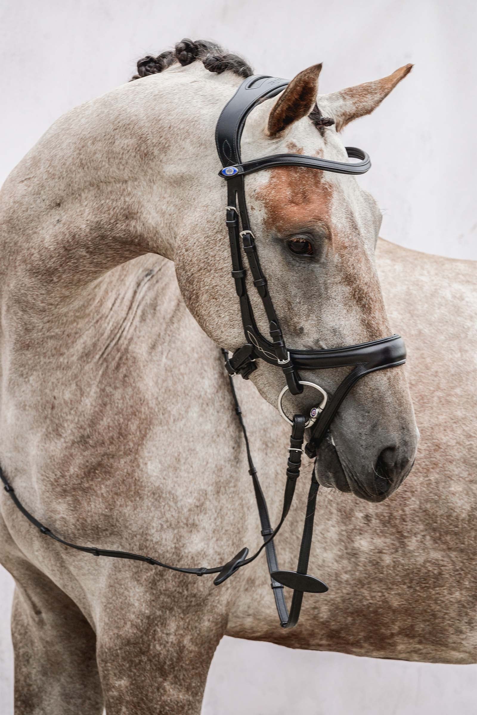 PS of Sweden Jump Off Bridle Bridles & Reins