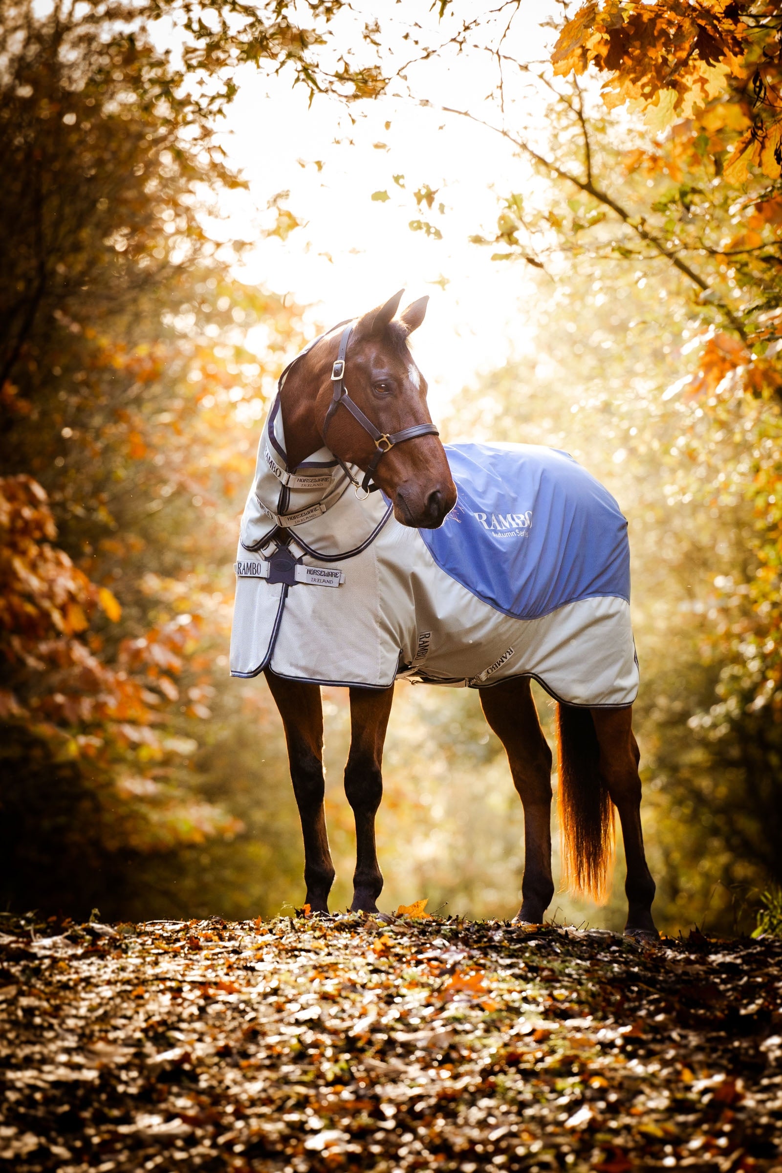 Horseware Rambo Autumn Series buitendeken met onderdeken (0 g / 100 g) Paardendekens