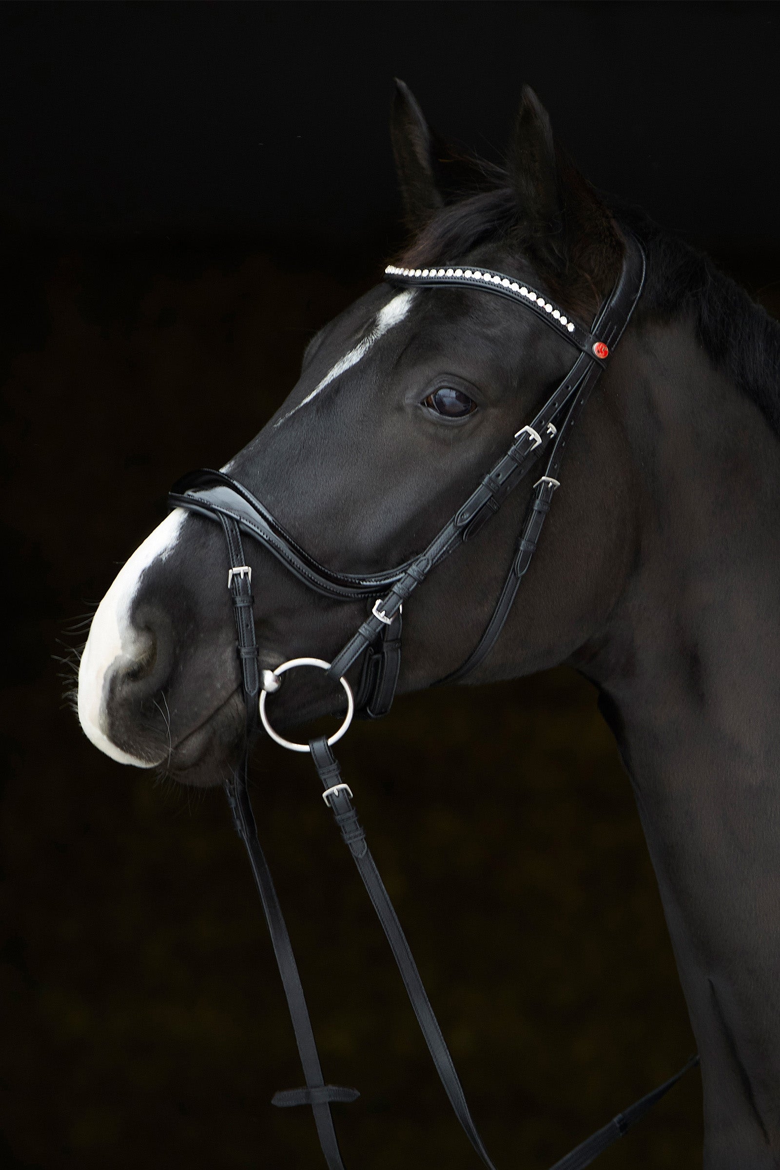Kieffer Ultrasoft® Amy Shine Bridle Bridles & Reins